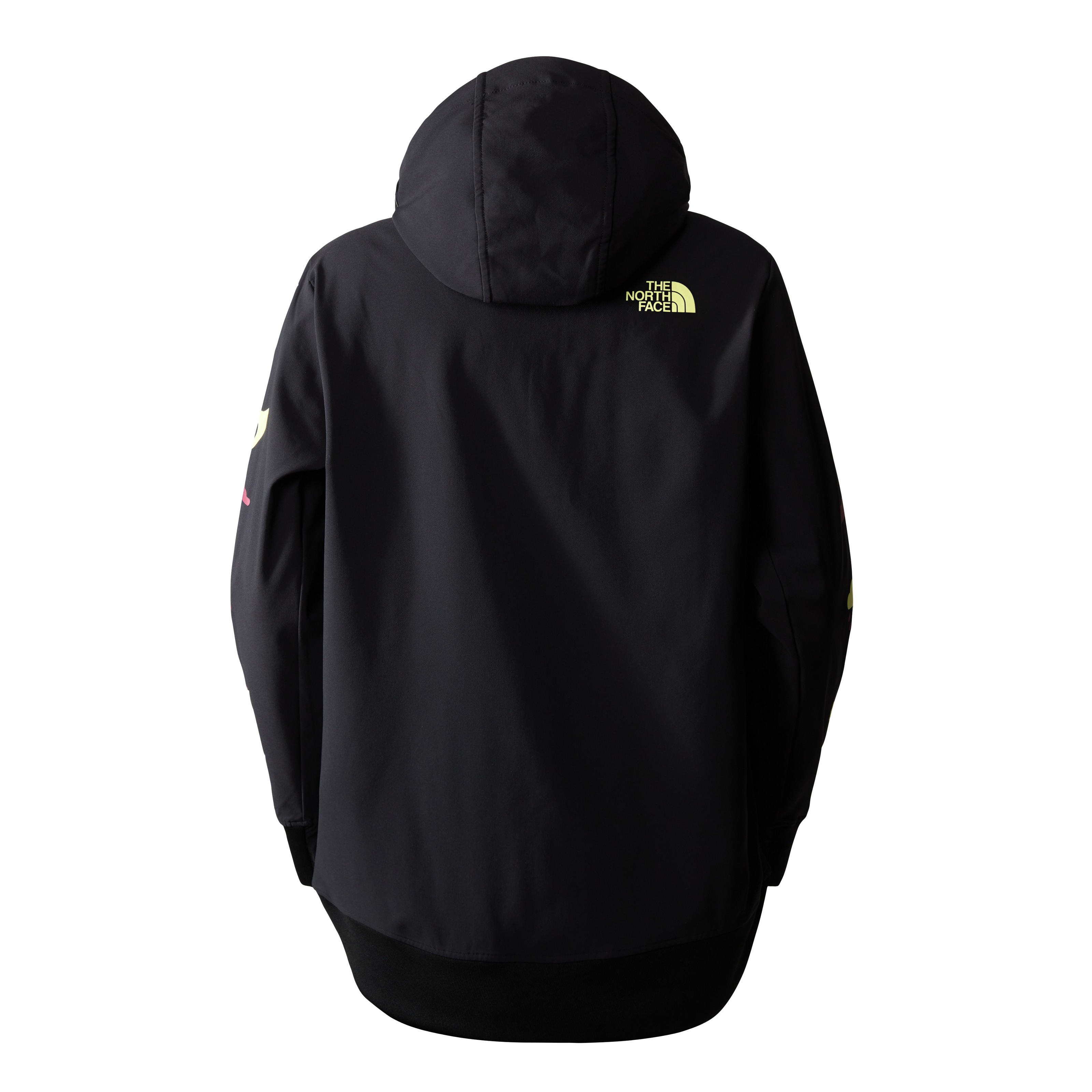 The North Face W Tekno Pullover Hoodie