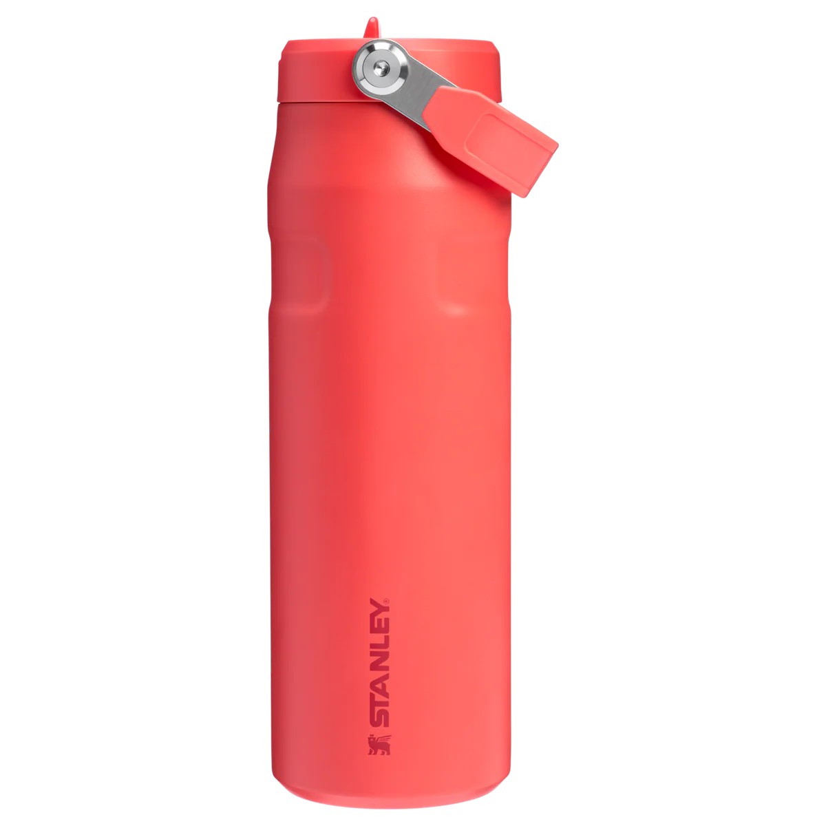 Stanley The IceFlow™ Bottle with Flip Straw