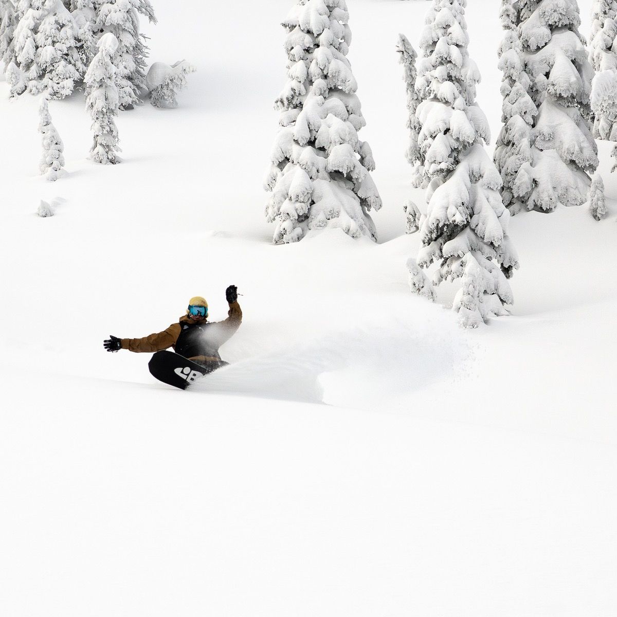 Lib Tech T. Rice Orca 25/26