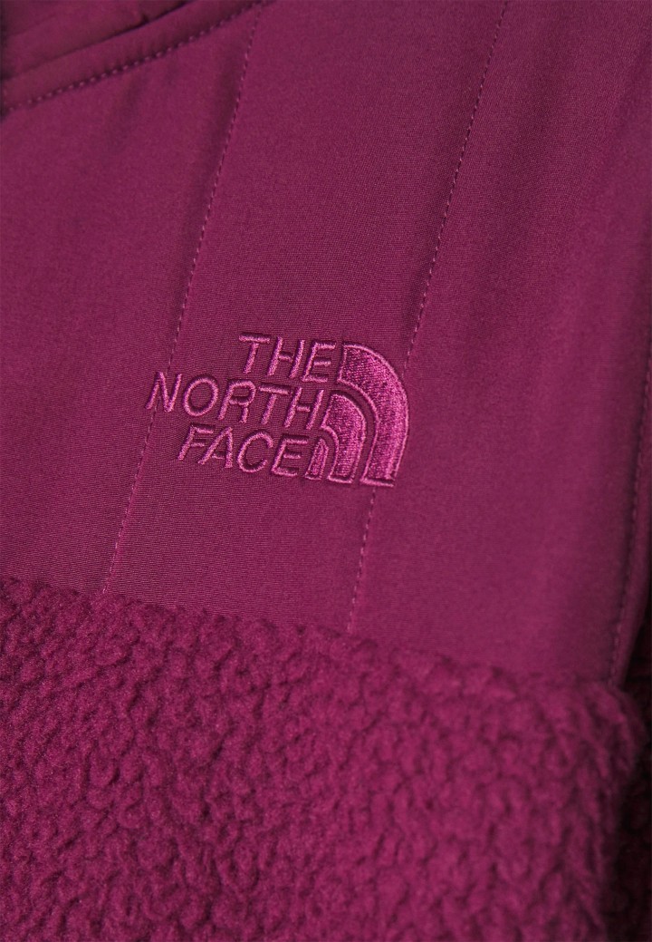 The North Face W Cragmont Fleece 1/4 Snap