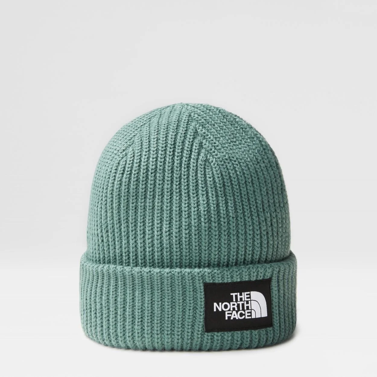 The North Face Salty Lined Beanie - Dark Sage