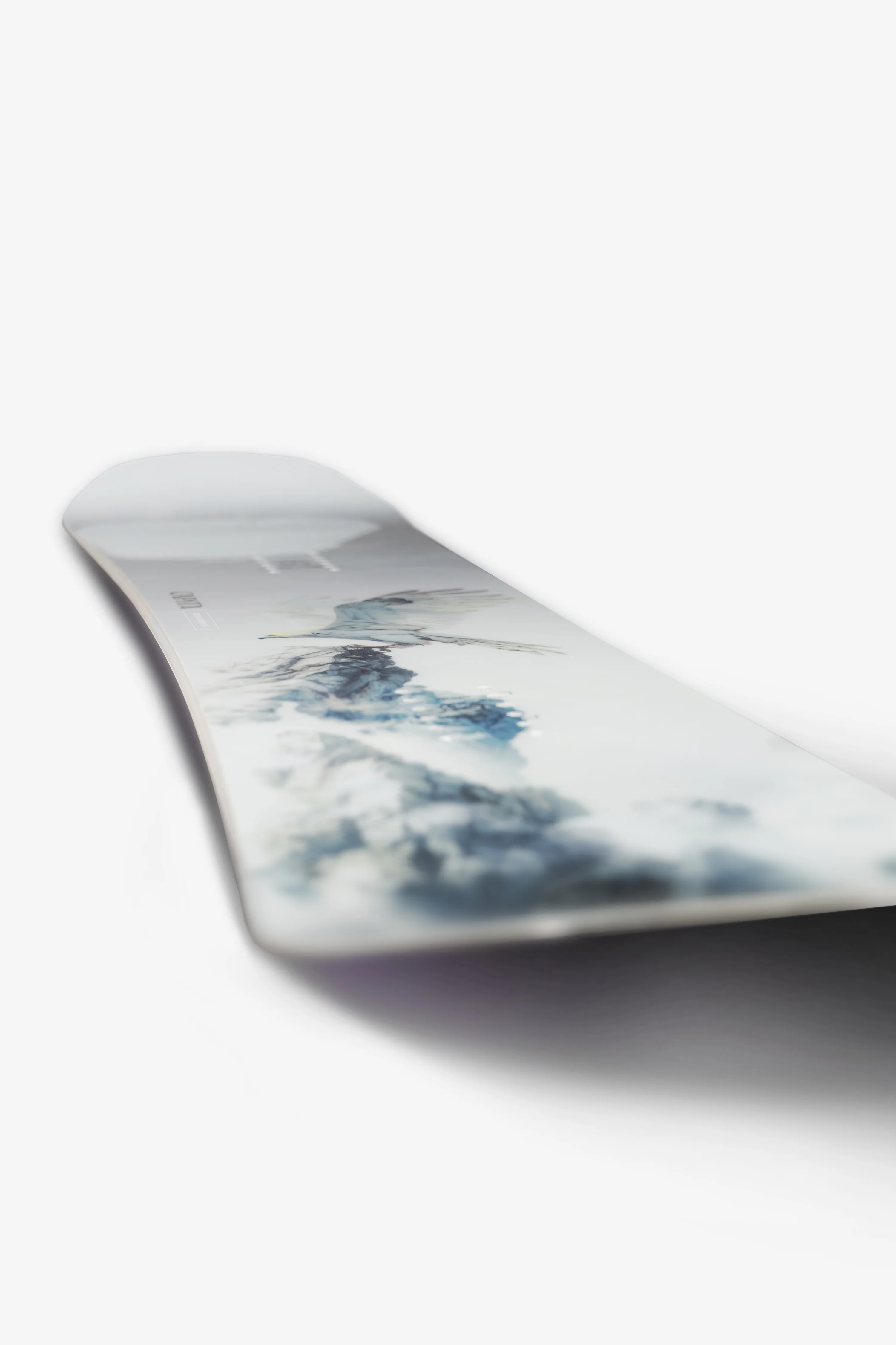 Capita Birds of a Feather 2026