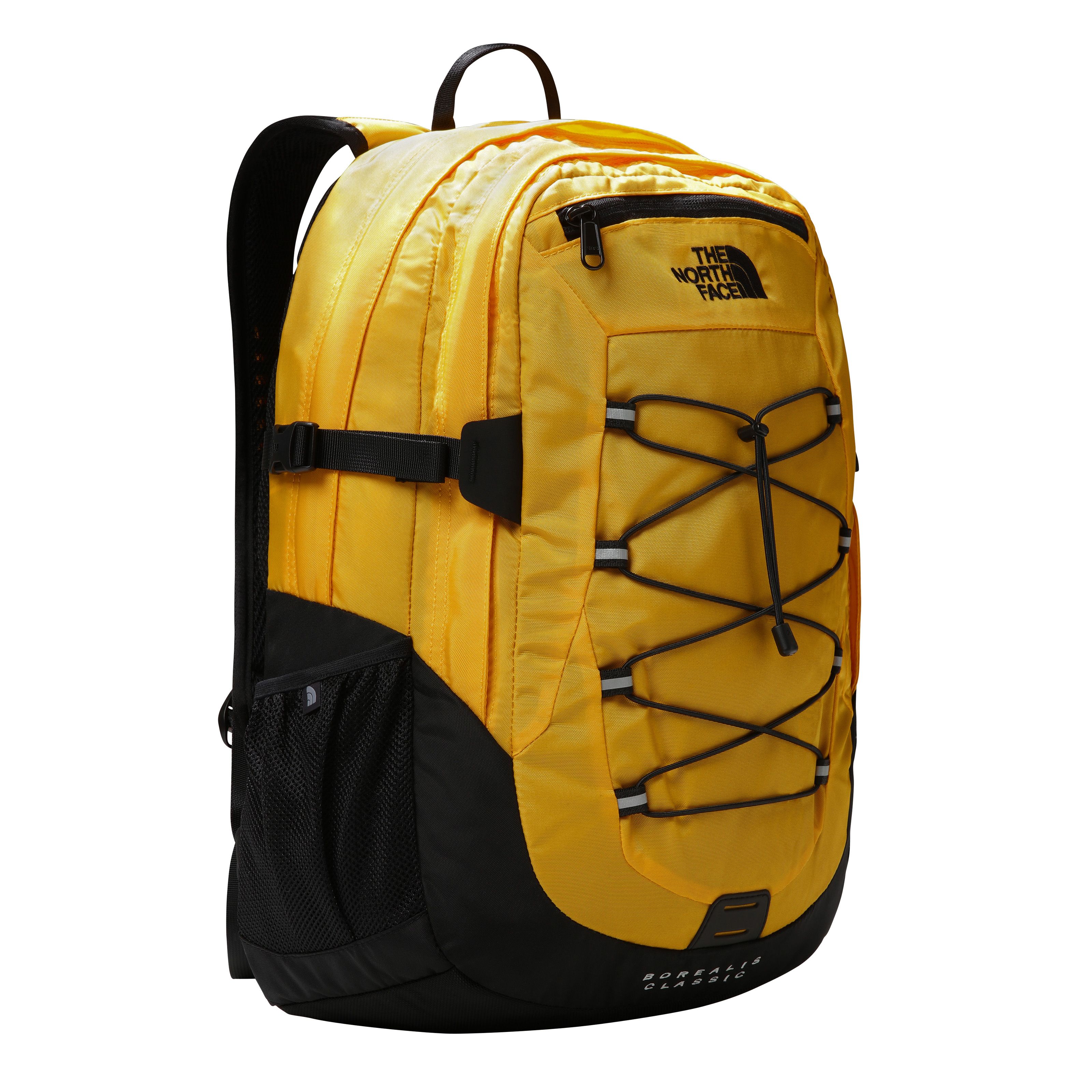 Summit Gold-TNF Black-N