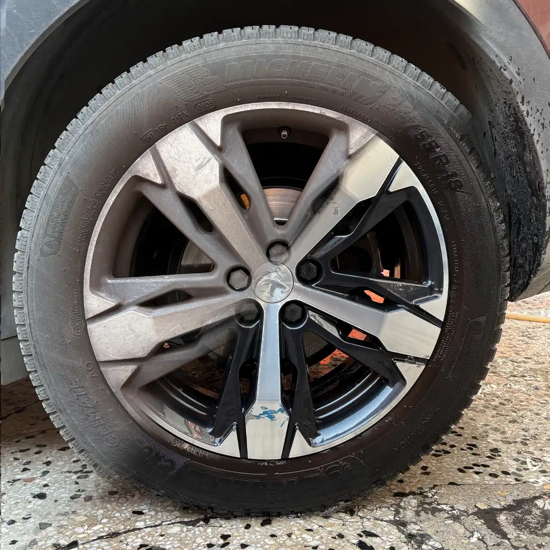 Schön Weiter - Iron Particle Remover & Polishing Solution (Demir Tozu Giderici ve Parlatma Solüsyonu) + Detay Fırça KAMPANYALI