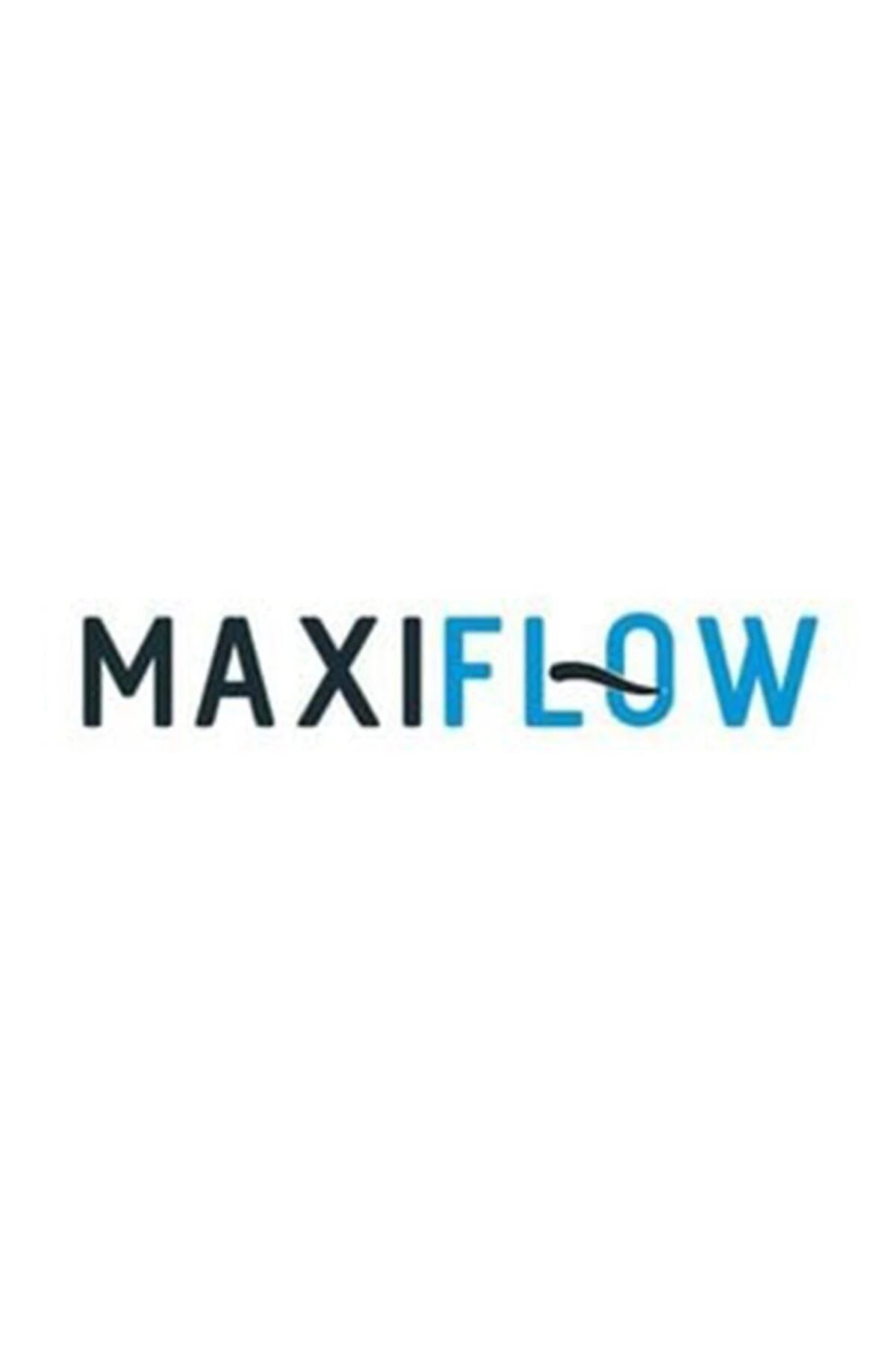 Maxıflow Ayaklı Wc Fırçalık Set