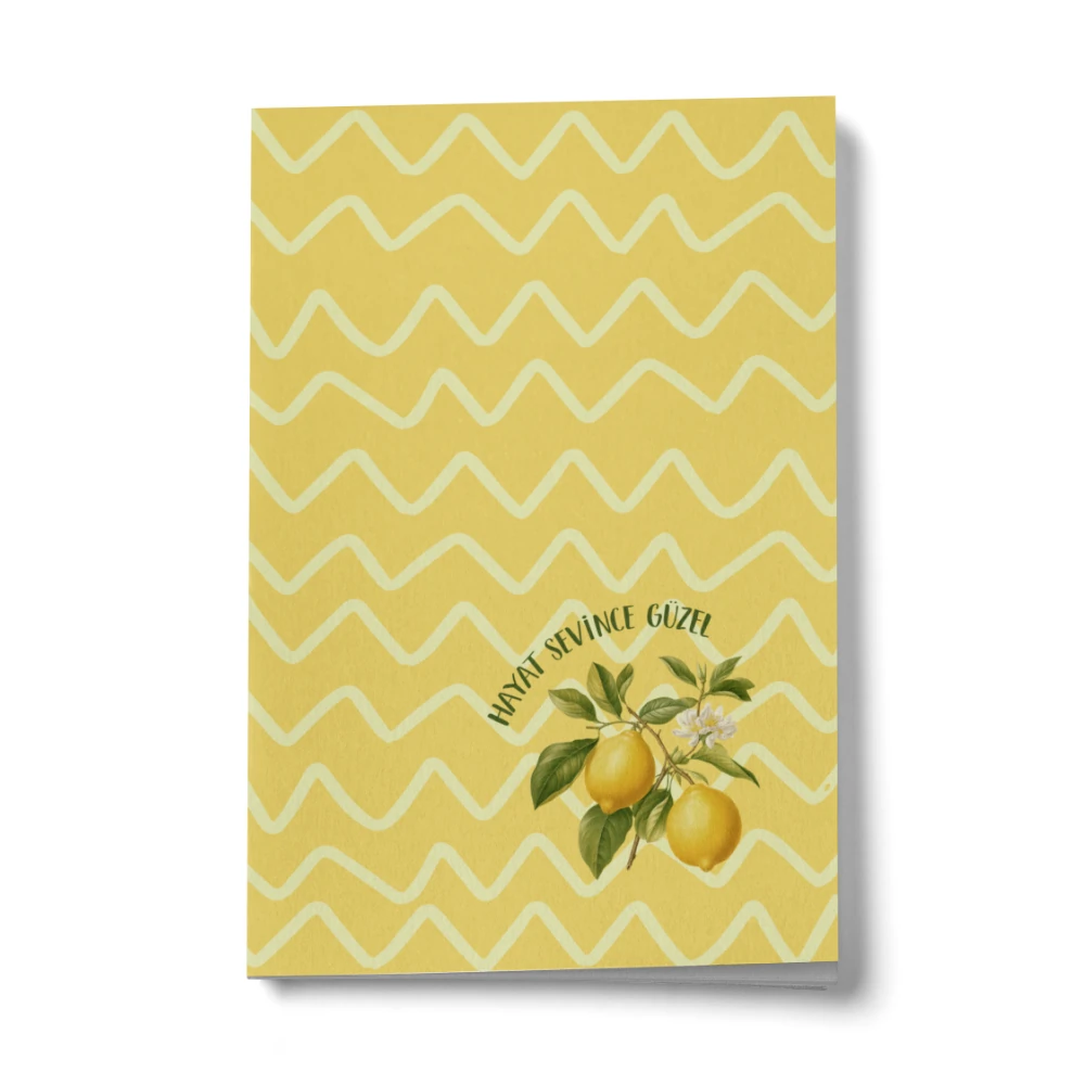 Hayat Sevince Güzel Mini Defter