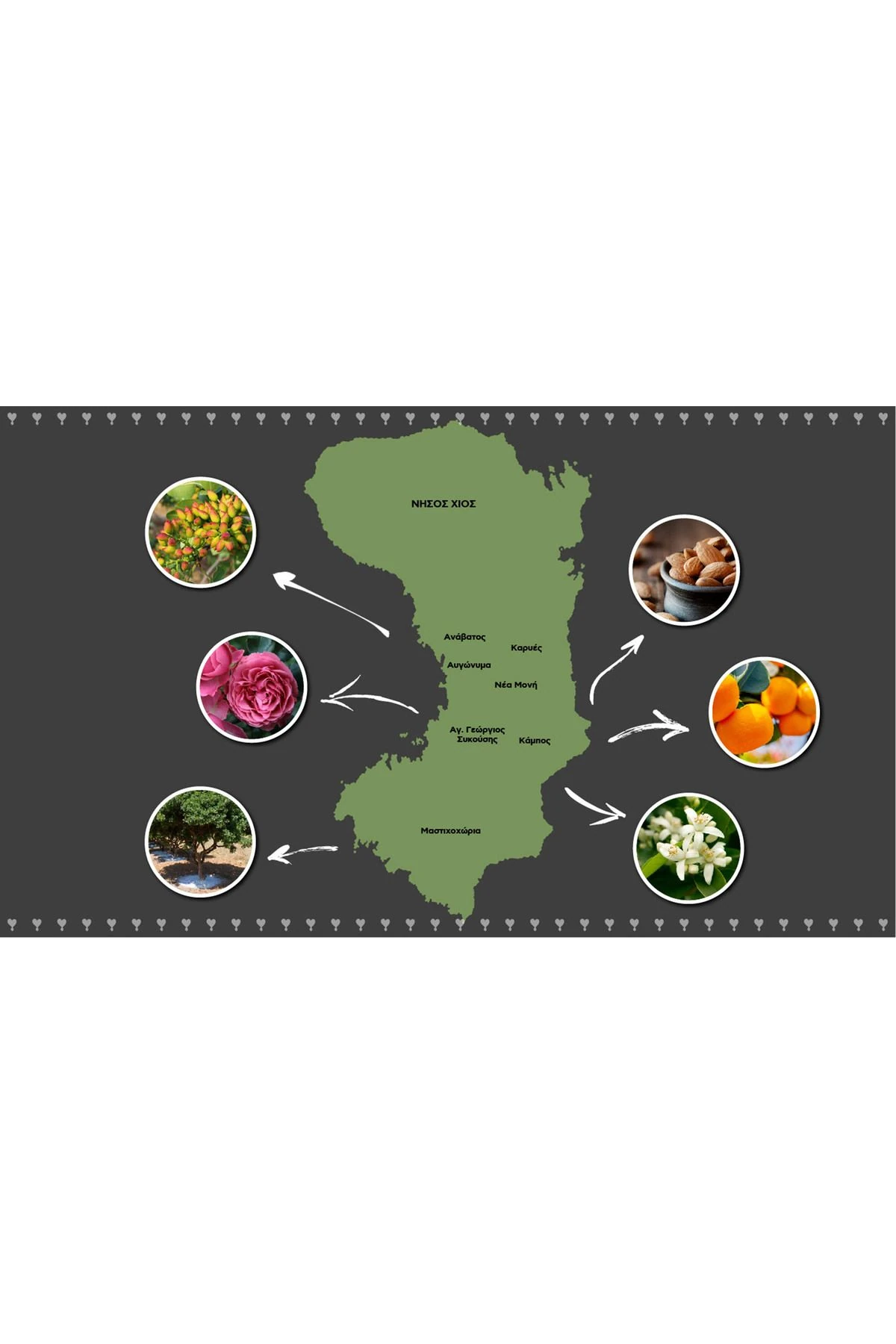 Korakis Marinos Damla Sakızı Yağlı Macun 600 gr Ithal