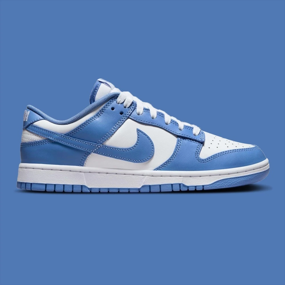 Nike Dunk Blue