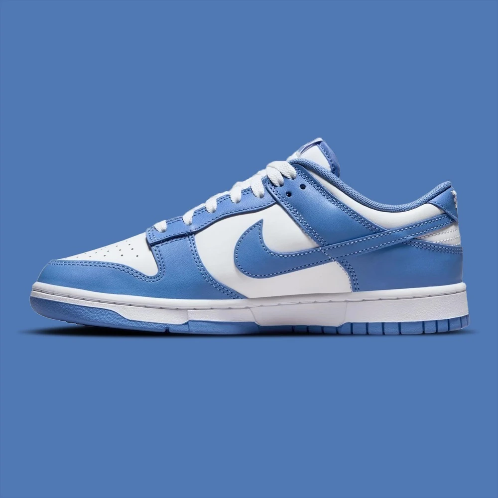 Nike Dunk Blue