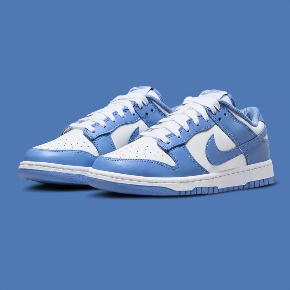 Nike Dunk Blue