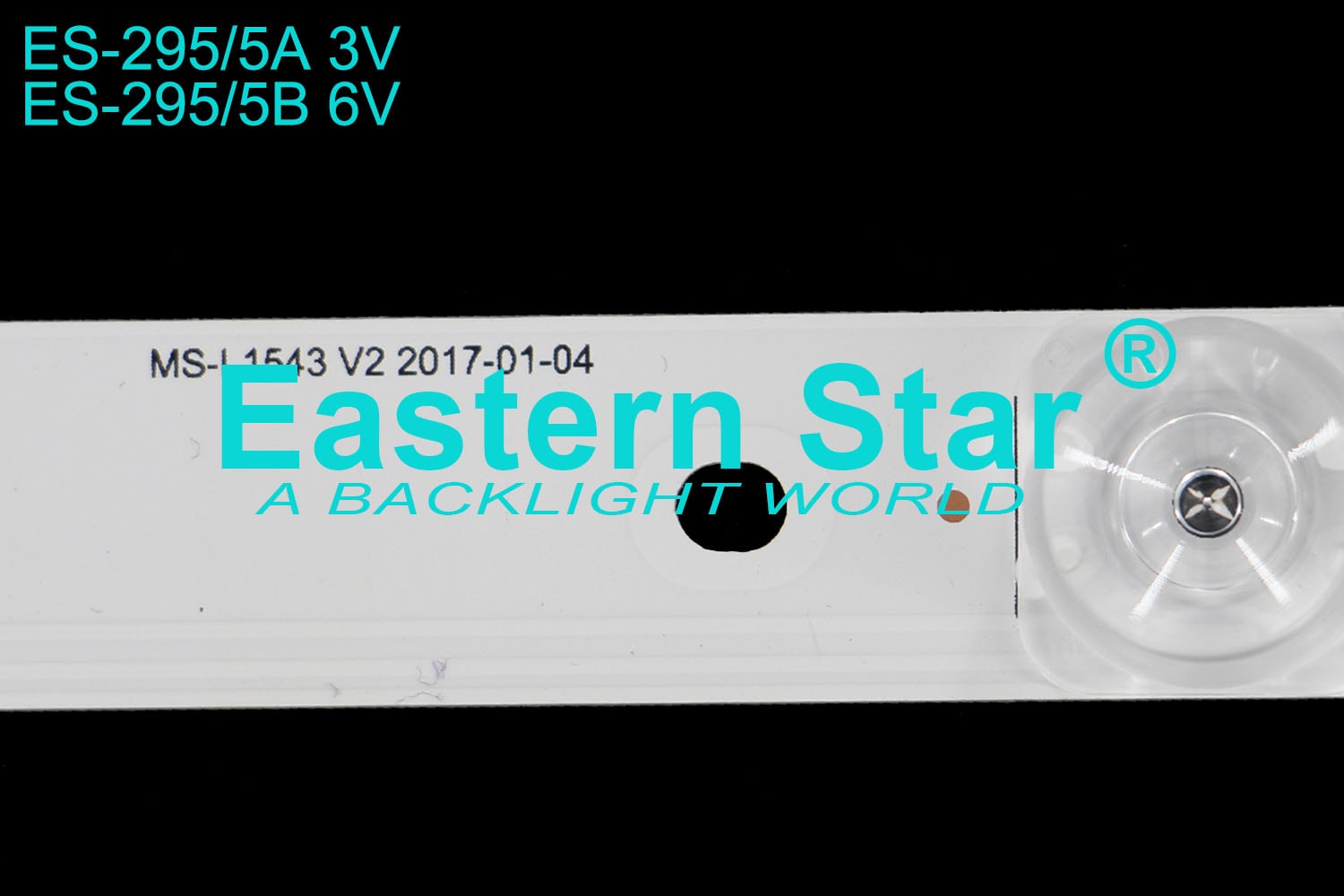 ES 295
