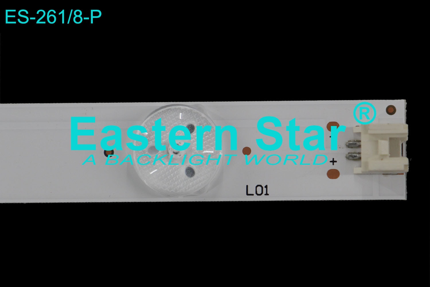 ES 261