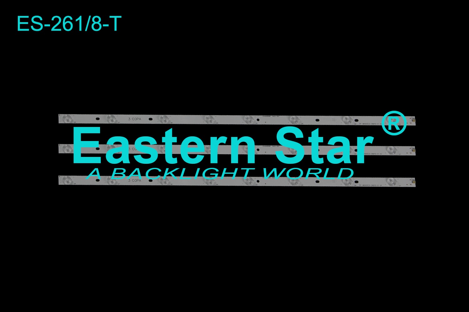 ES 261
