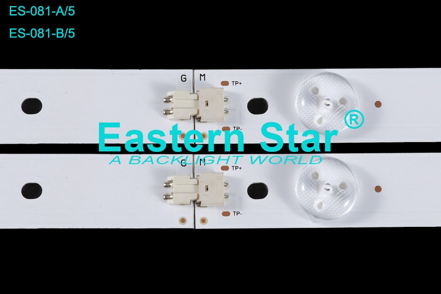 ES 081
