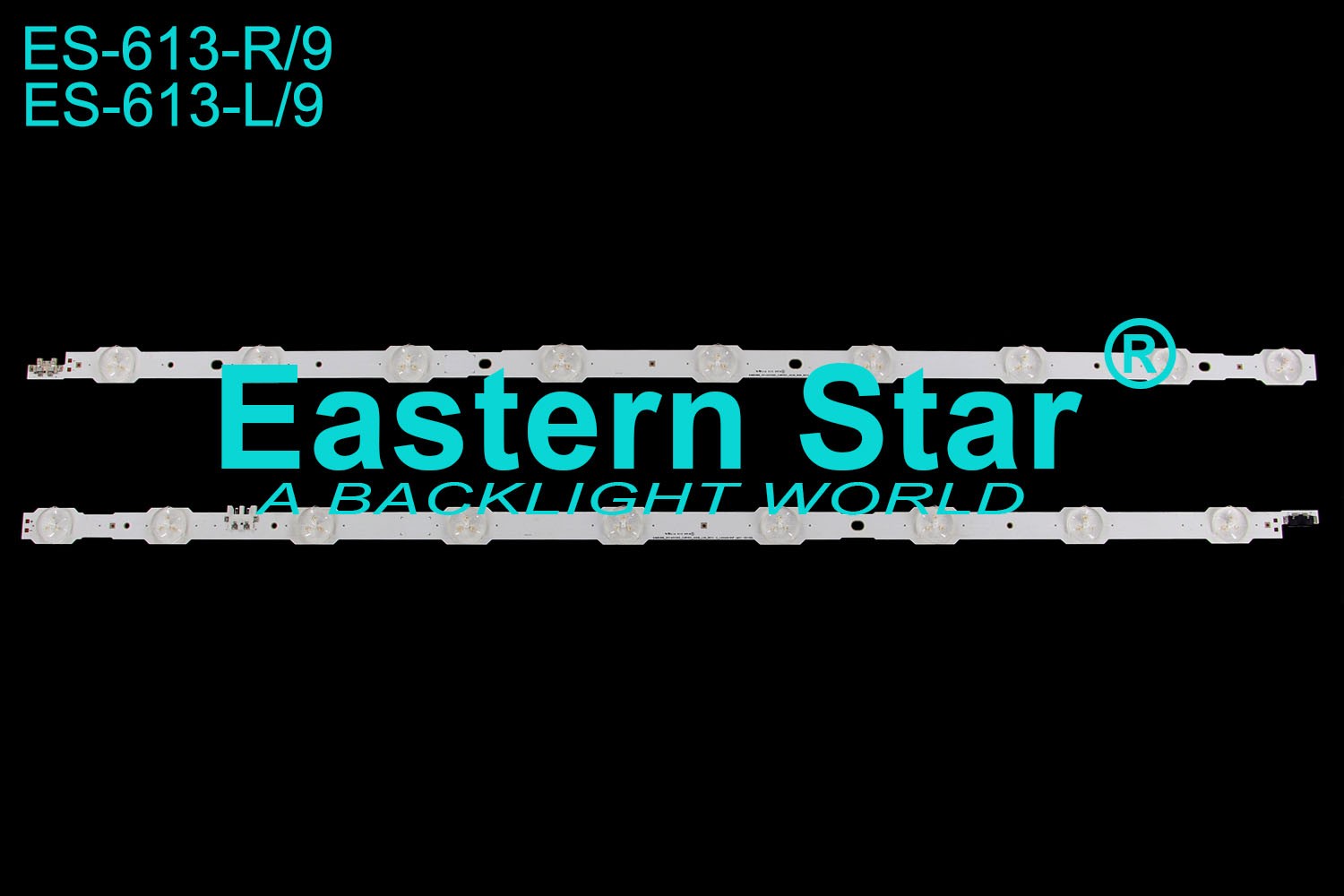 ES 613