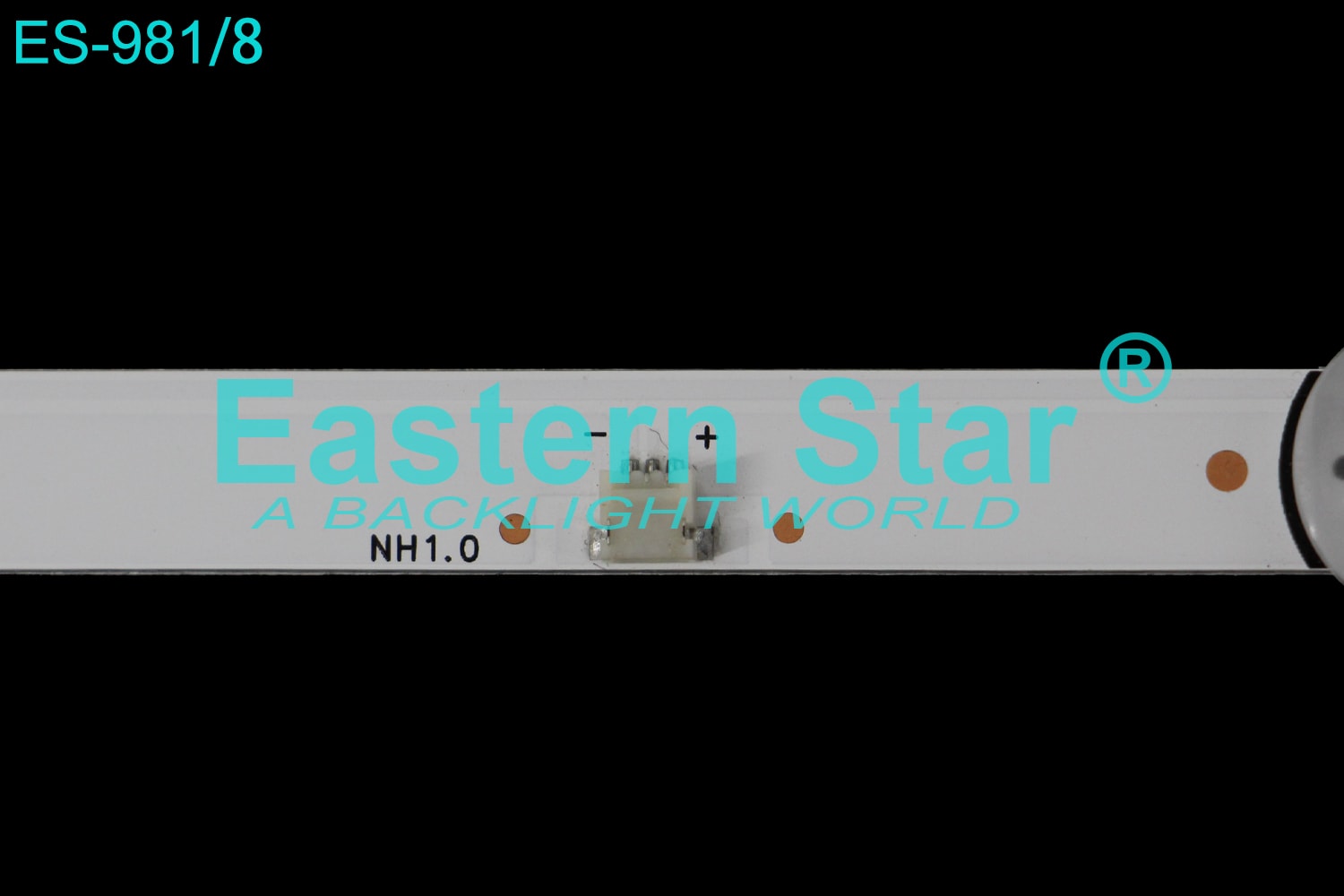 ES 981