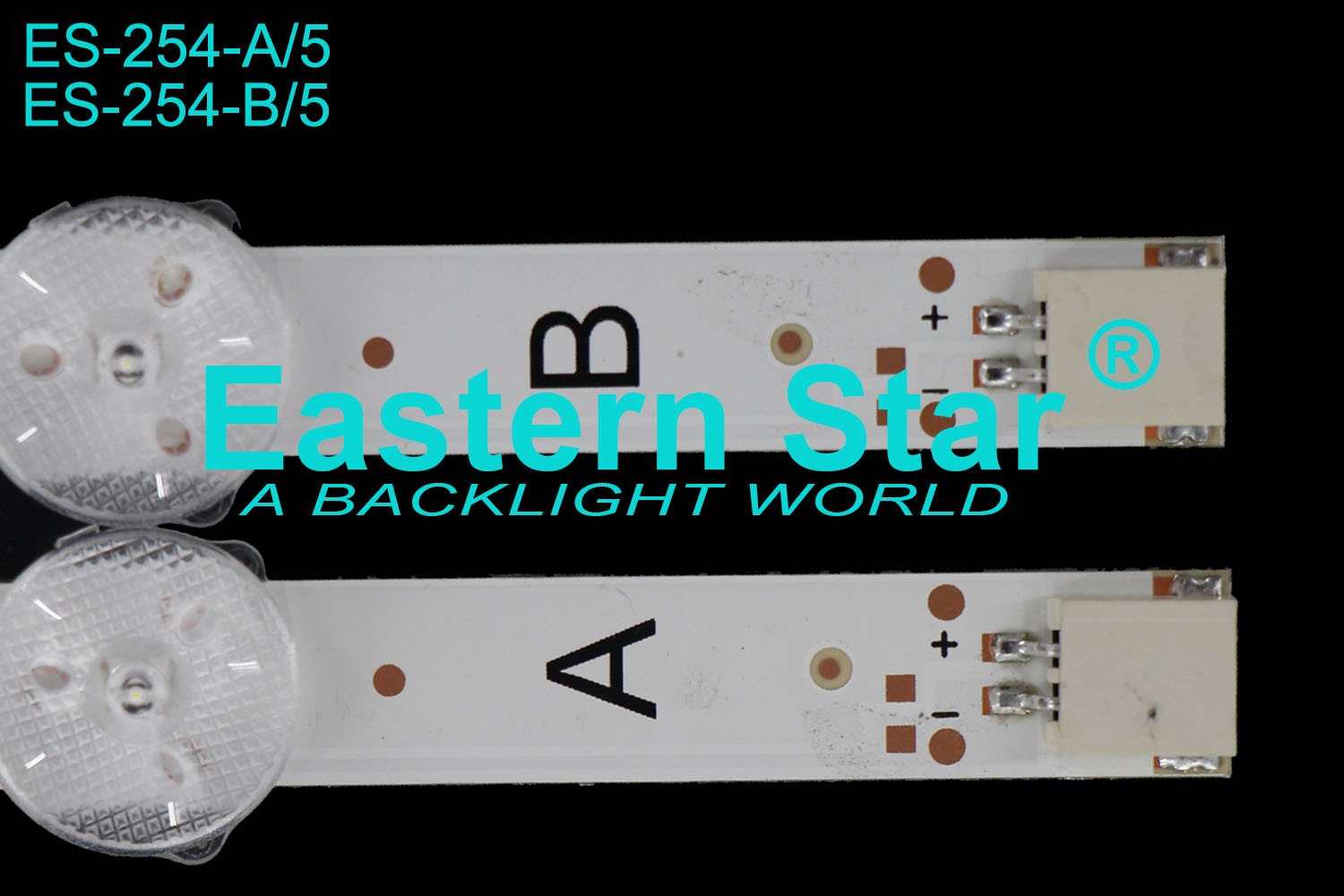 ES 254