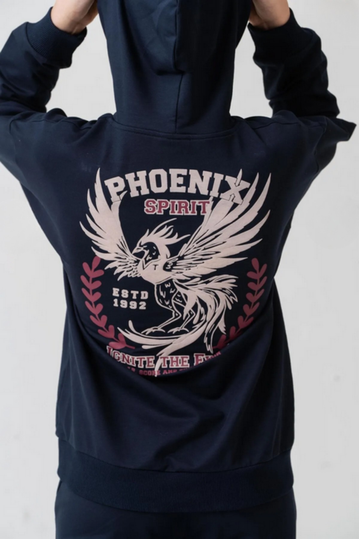 Erkek Çocuk Phoenix Sprit Baskılı Alt Üst Eşofman Takımı Ak7870