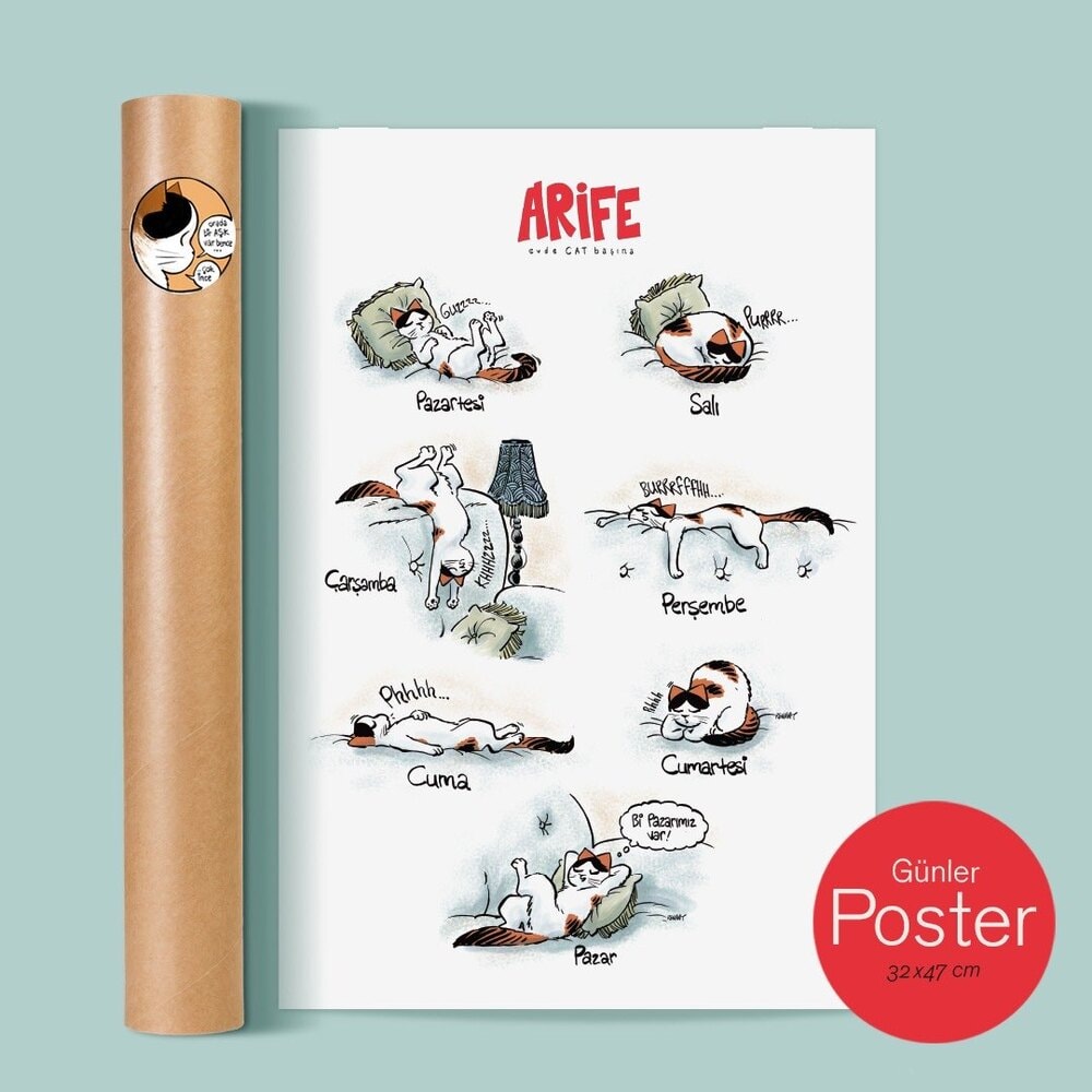Günler / Poster