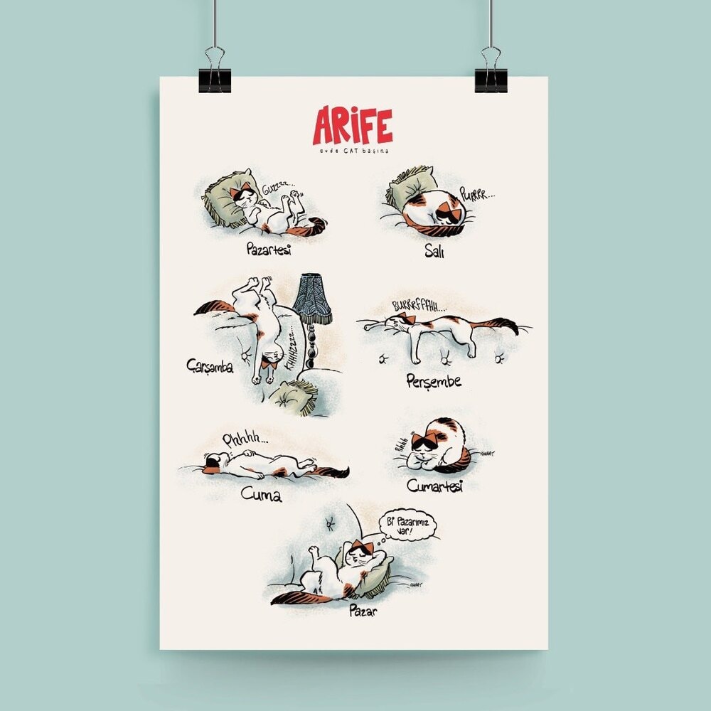Günler / Poster