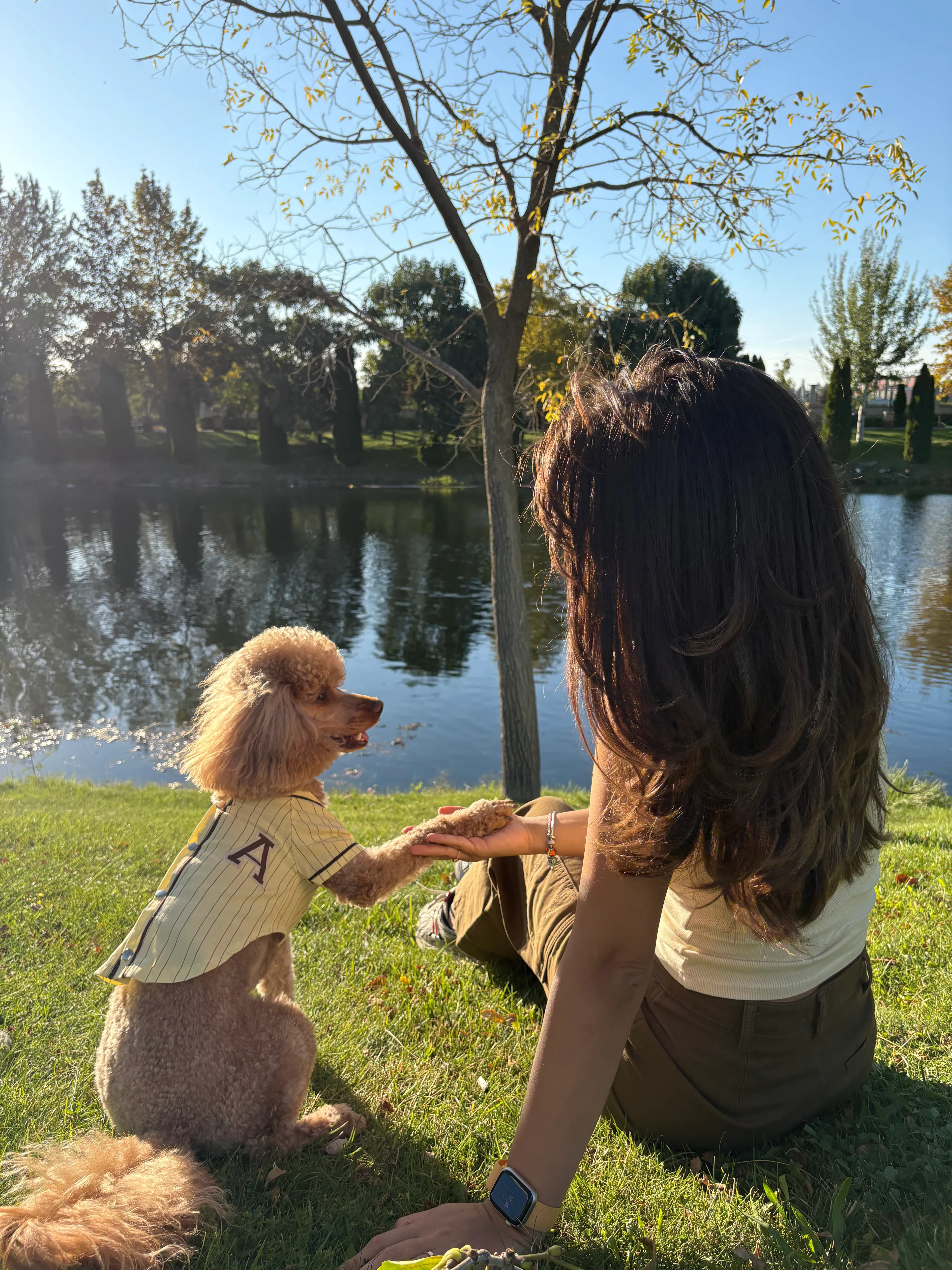 Beyzbol Tarzı Köpek Gömleği