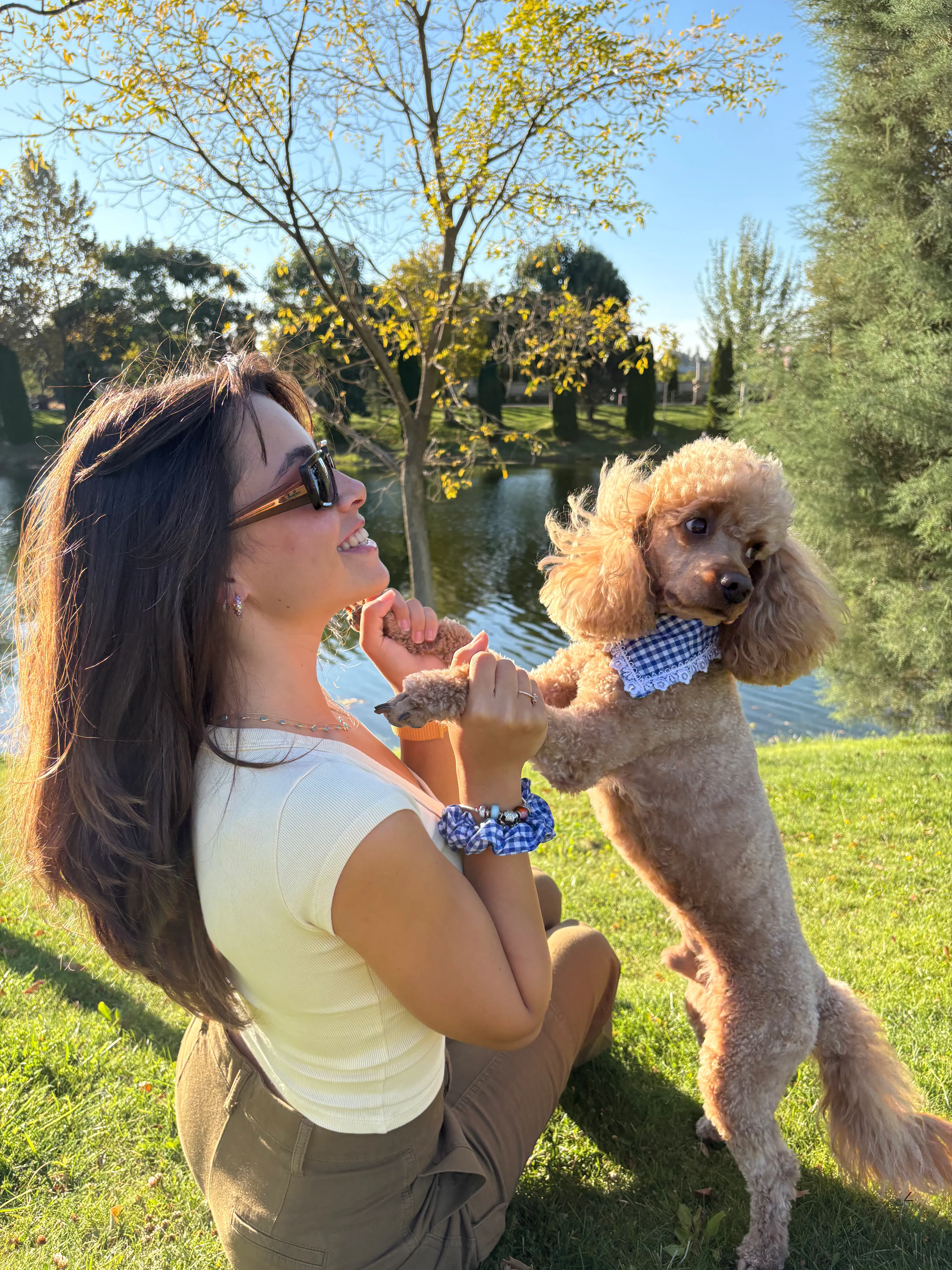 Mavi Ekoseli Köpek Fuları