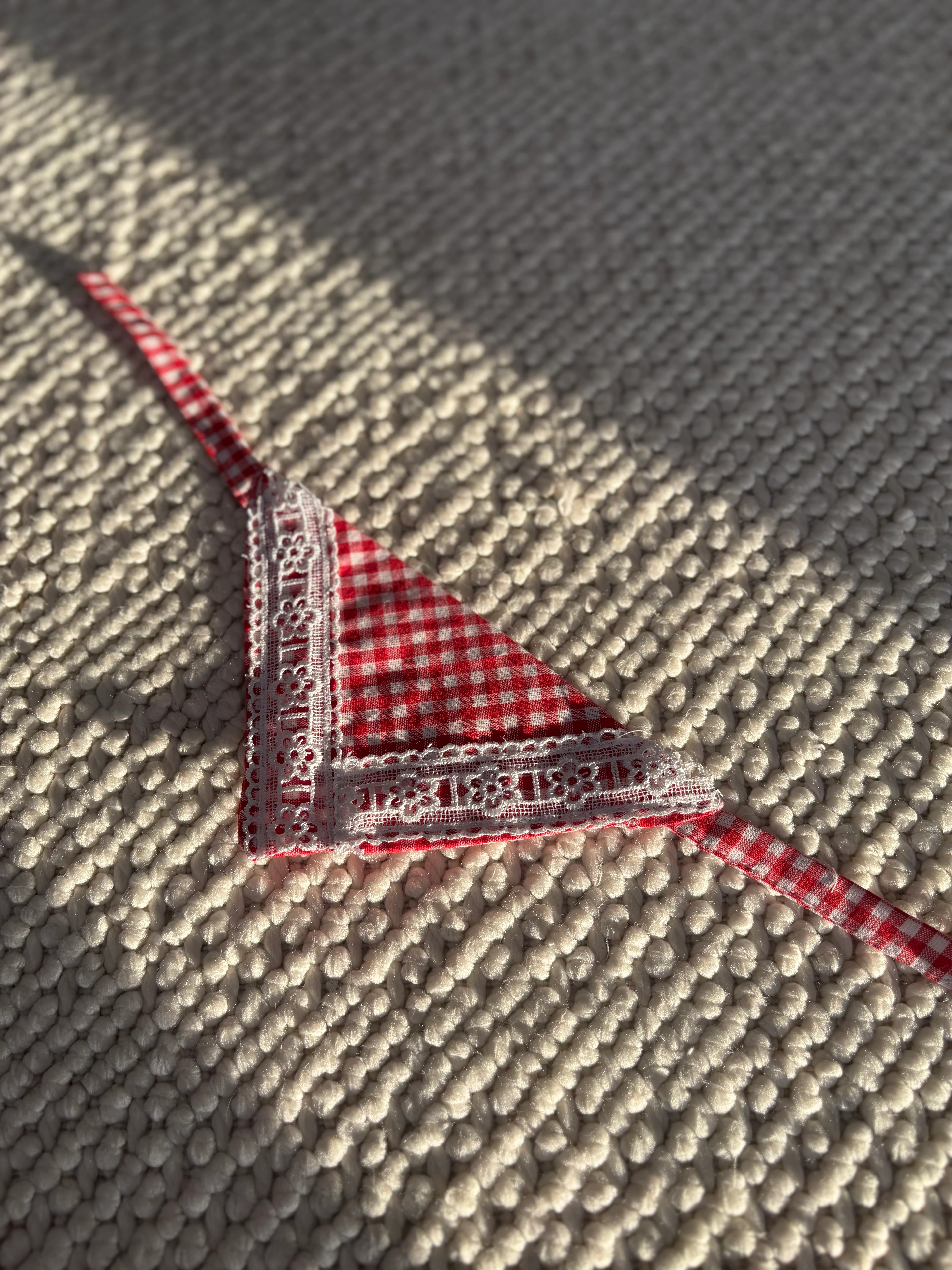 Kırmızı Ekoseli Köpek Fuları