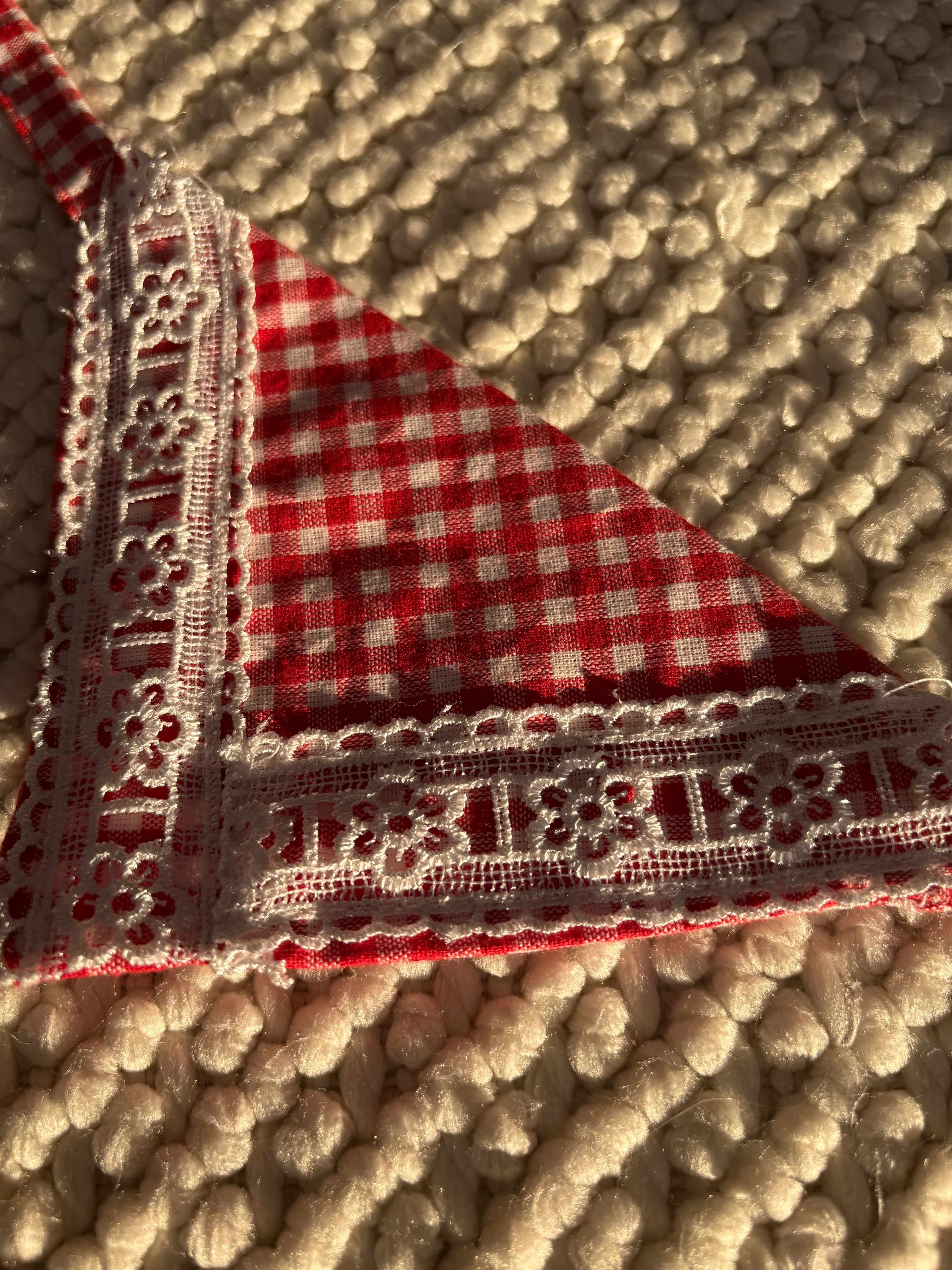 Kırmızı Ekoseli Köpek Fuları