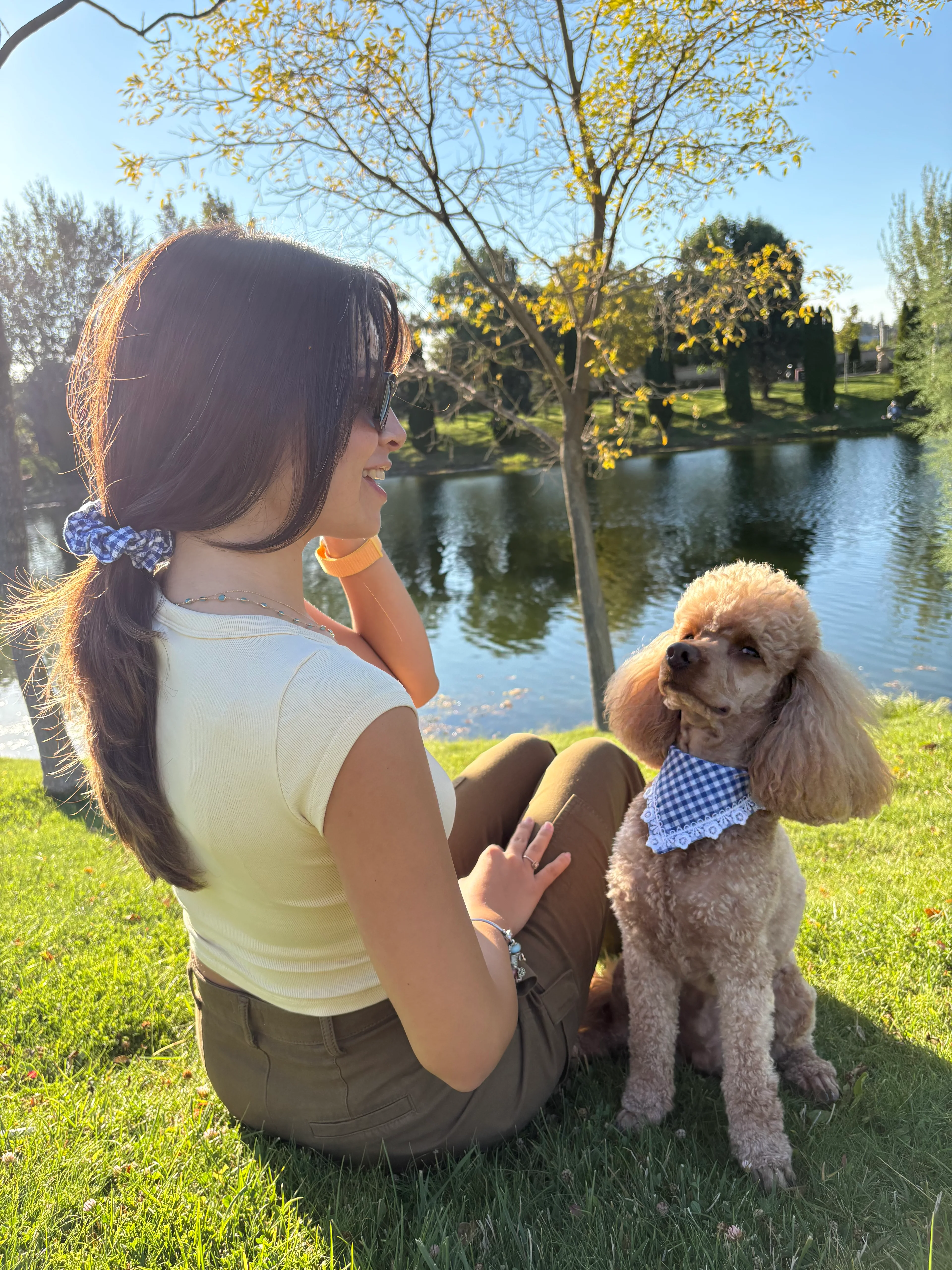 Mavi Toka ve Köpek Fuları Takımı