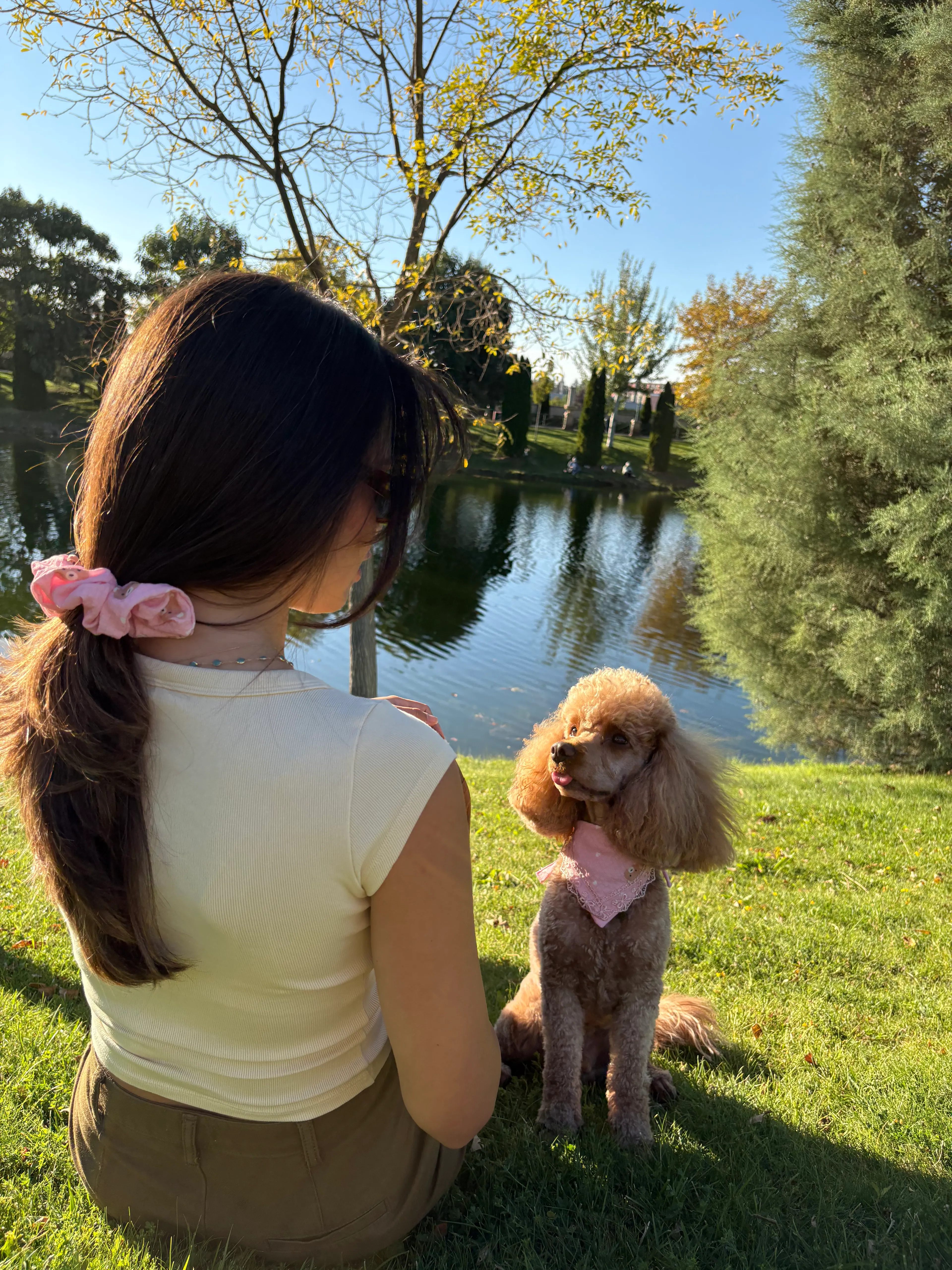 Pembe Toka ve Köpek Fuları Takımı