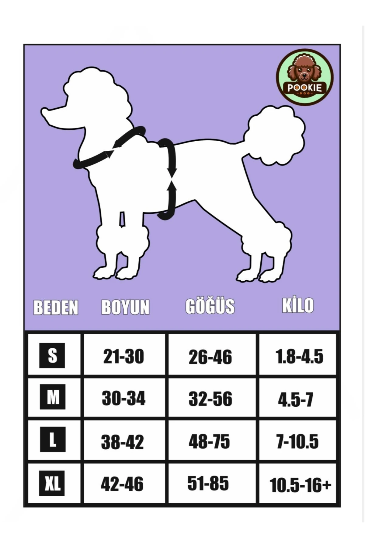 Kırmızı Toka ve Köpek Fuları Takımı