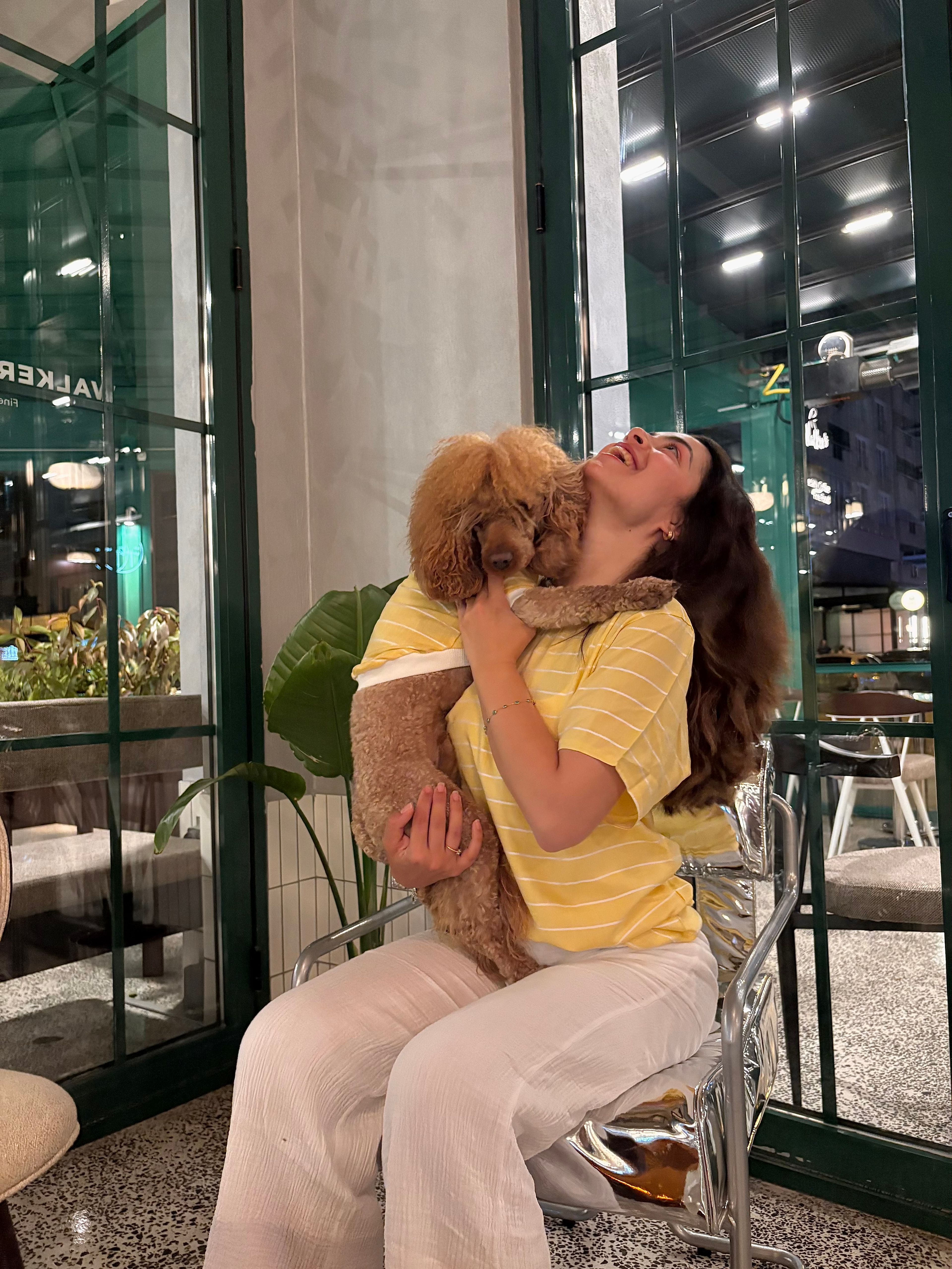 Keten Çizgili Köpek Tshirt