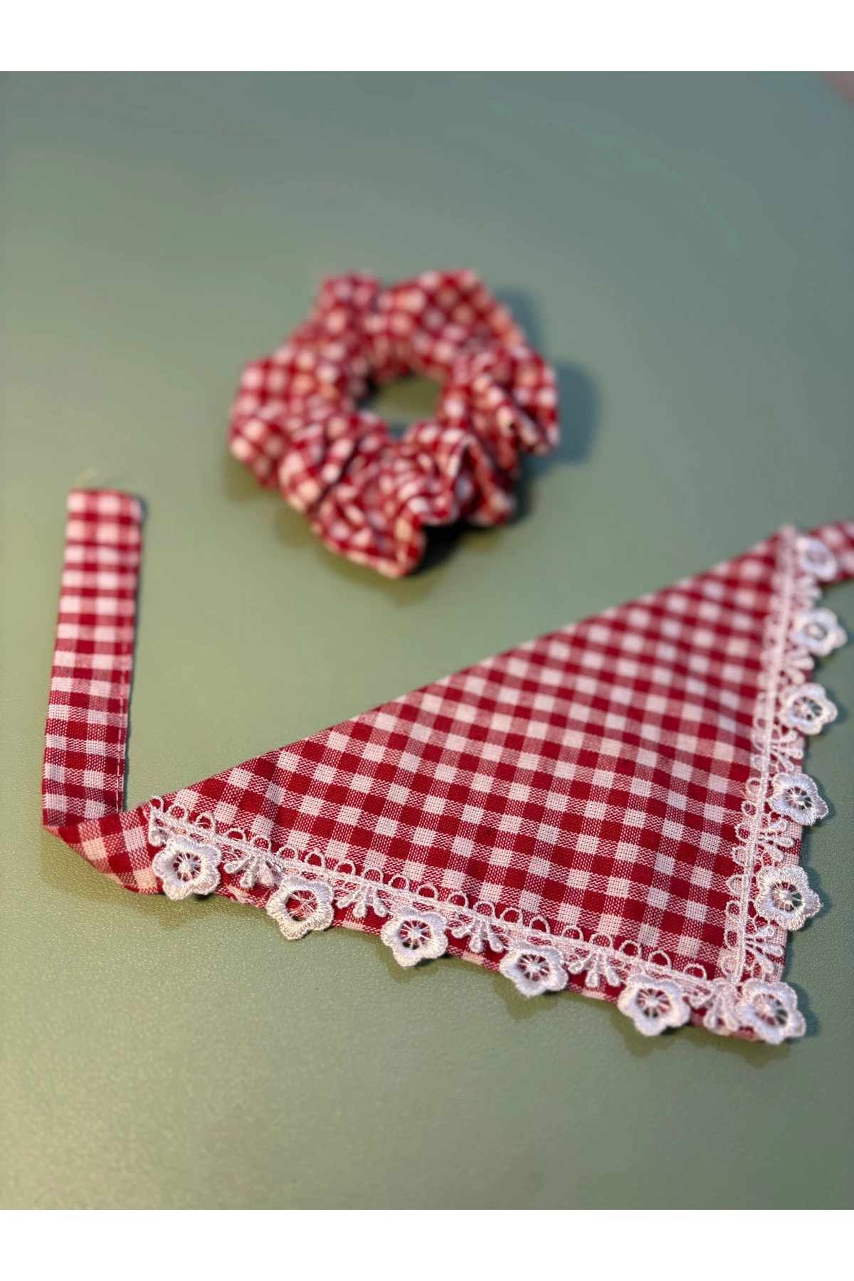 Kırmızı Toka ve Köpek Fuları Takımı