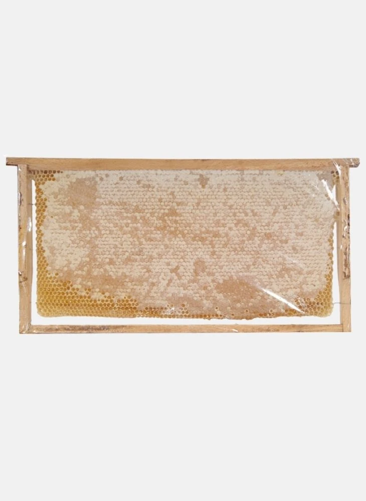 Doğal Petek Bal 1 kg