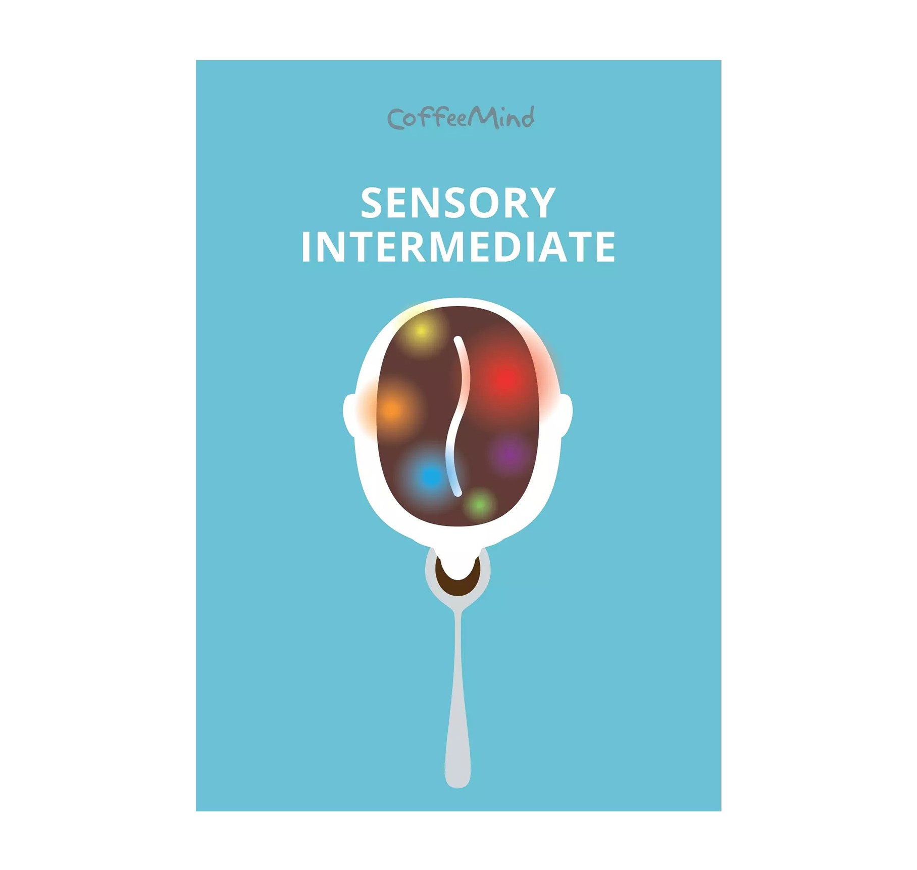 Sensory Intermediate / Book
