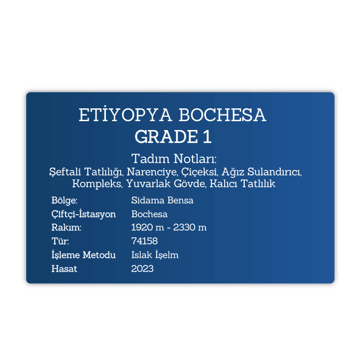 Etiyopya Bochesa Grade 1