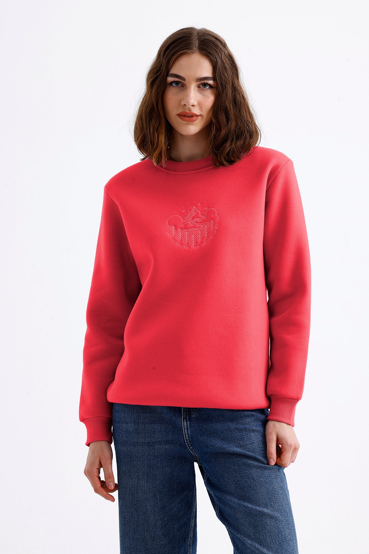 Unisex Mountains Nakışlı Bisiklet Yaka İçi Yumuşak Polarlı Oversize Sweatshirt - Koyu Pembe