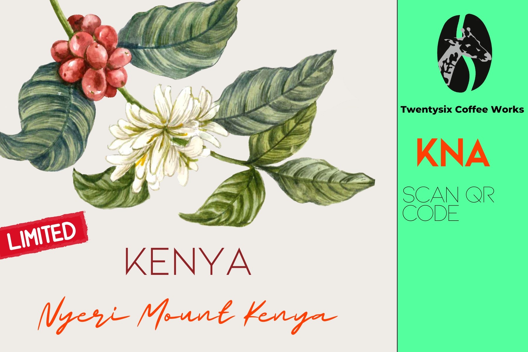 Kenya Mount AA