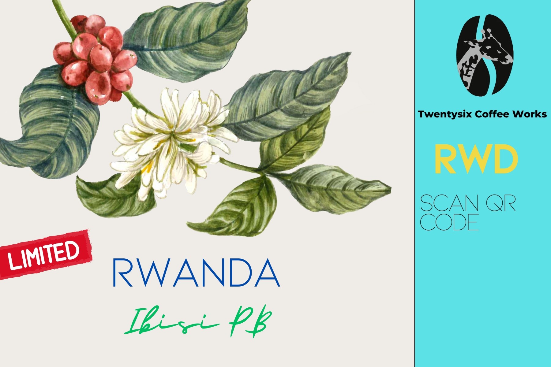 Rwanda PB Ibısı Nordic Approach