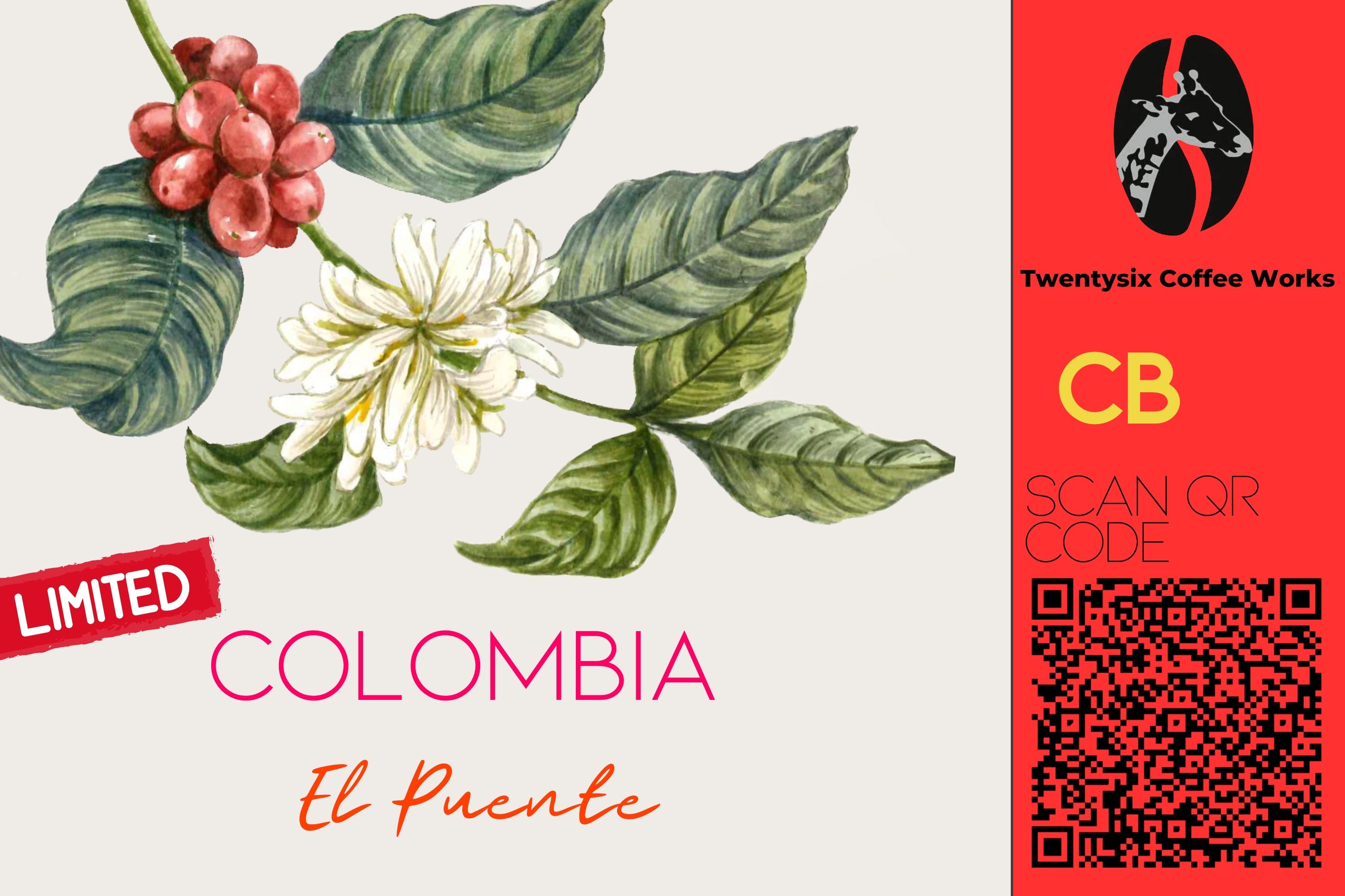 Colombia El Puente