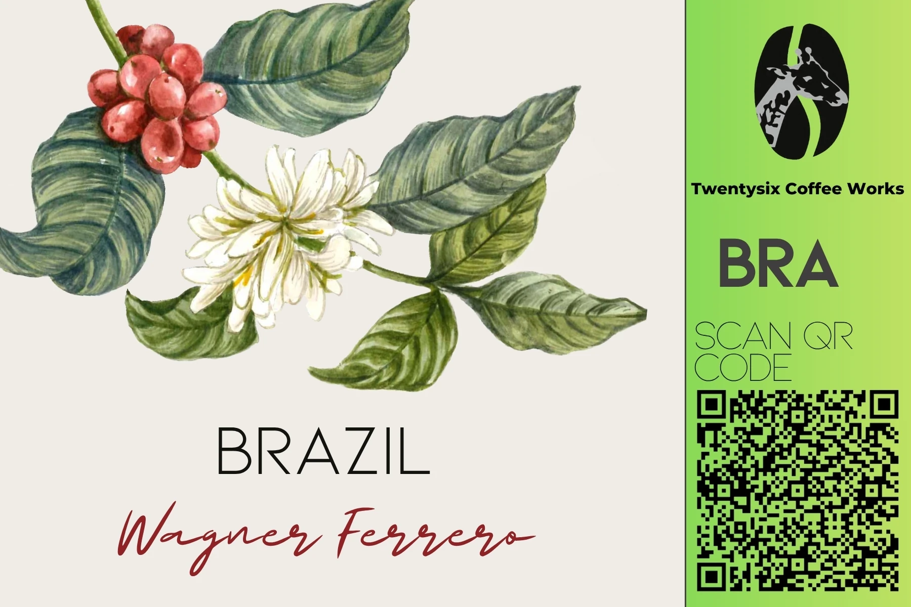 Brazil Wagner Ferrero