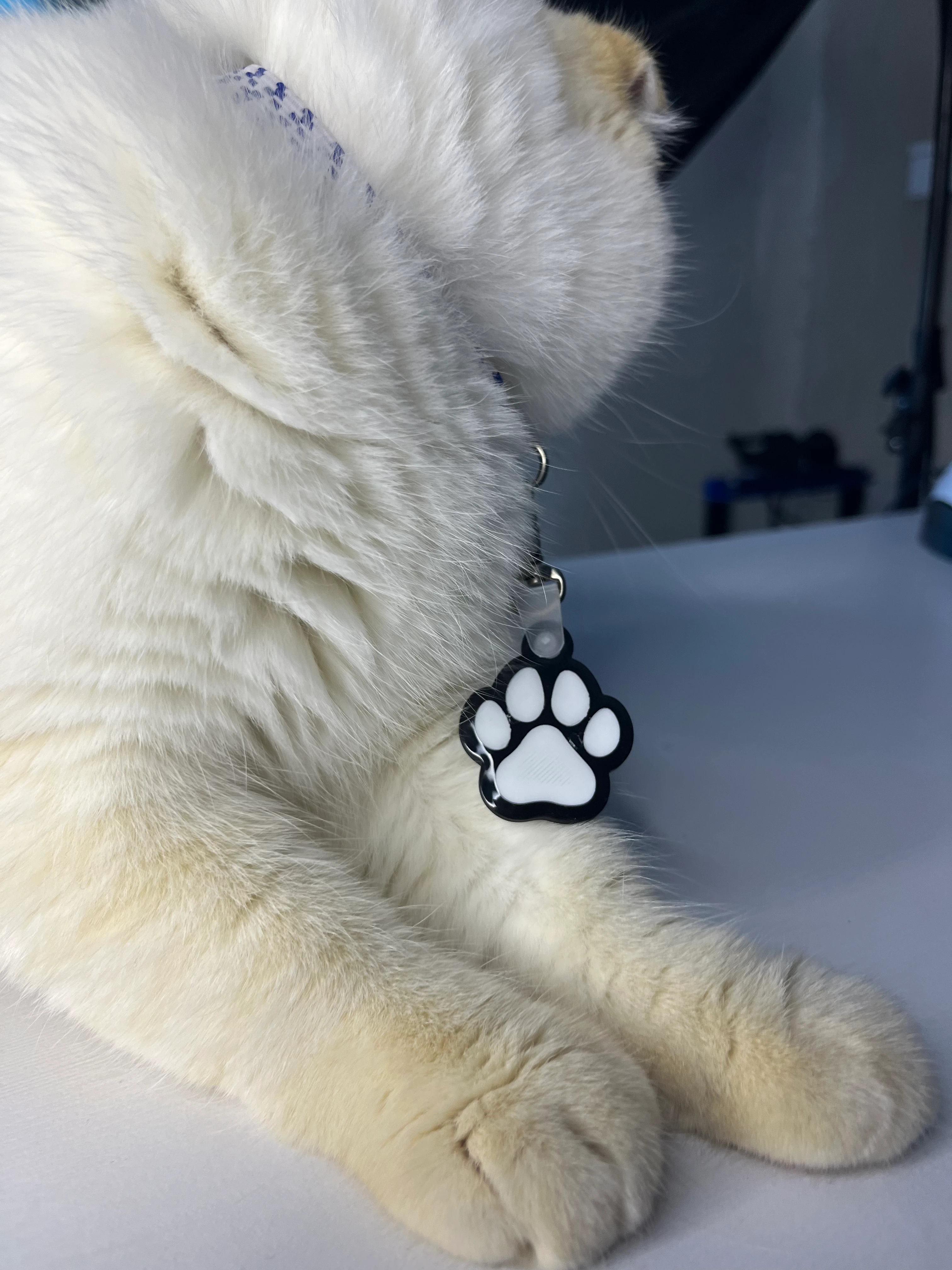 Akıllı Pati Anahtarlık