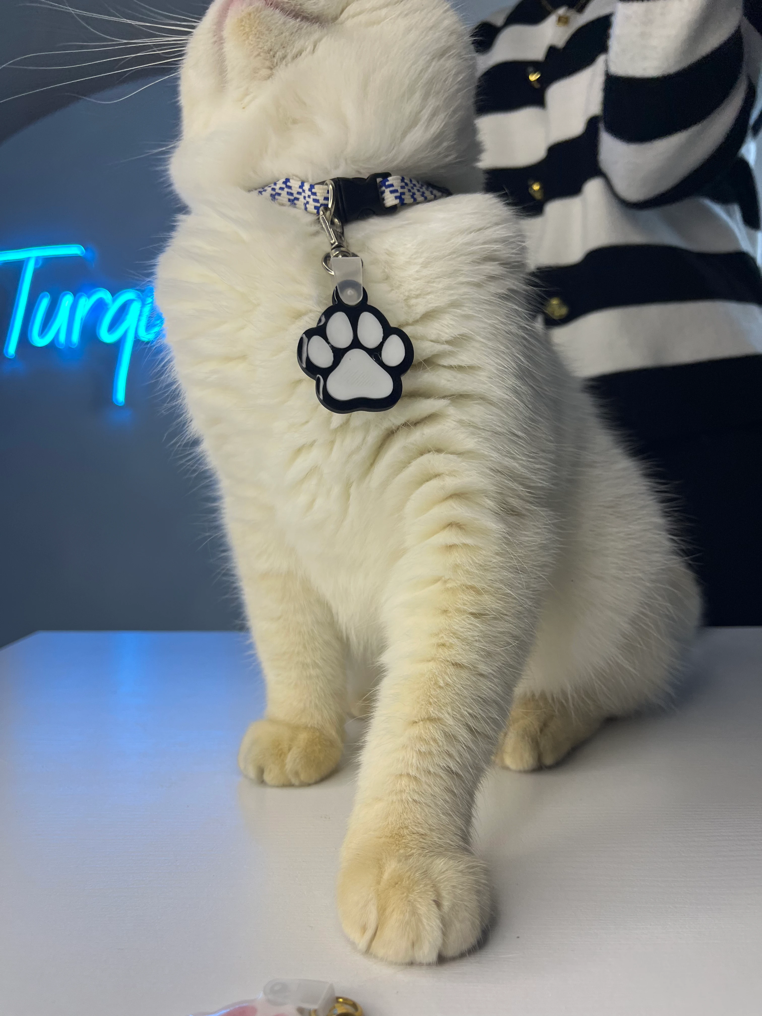 Akıllı Pati Anahtarlık