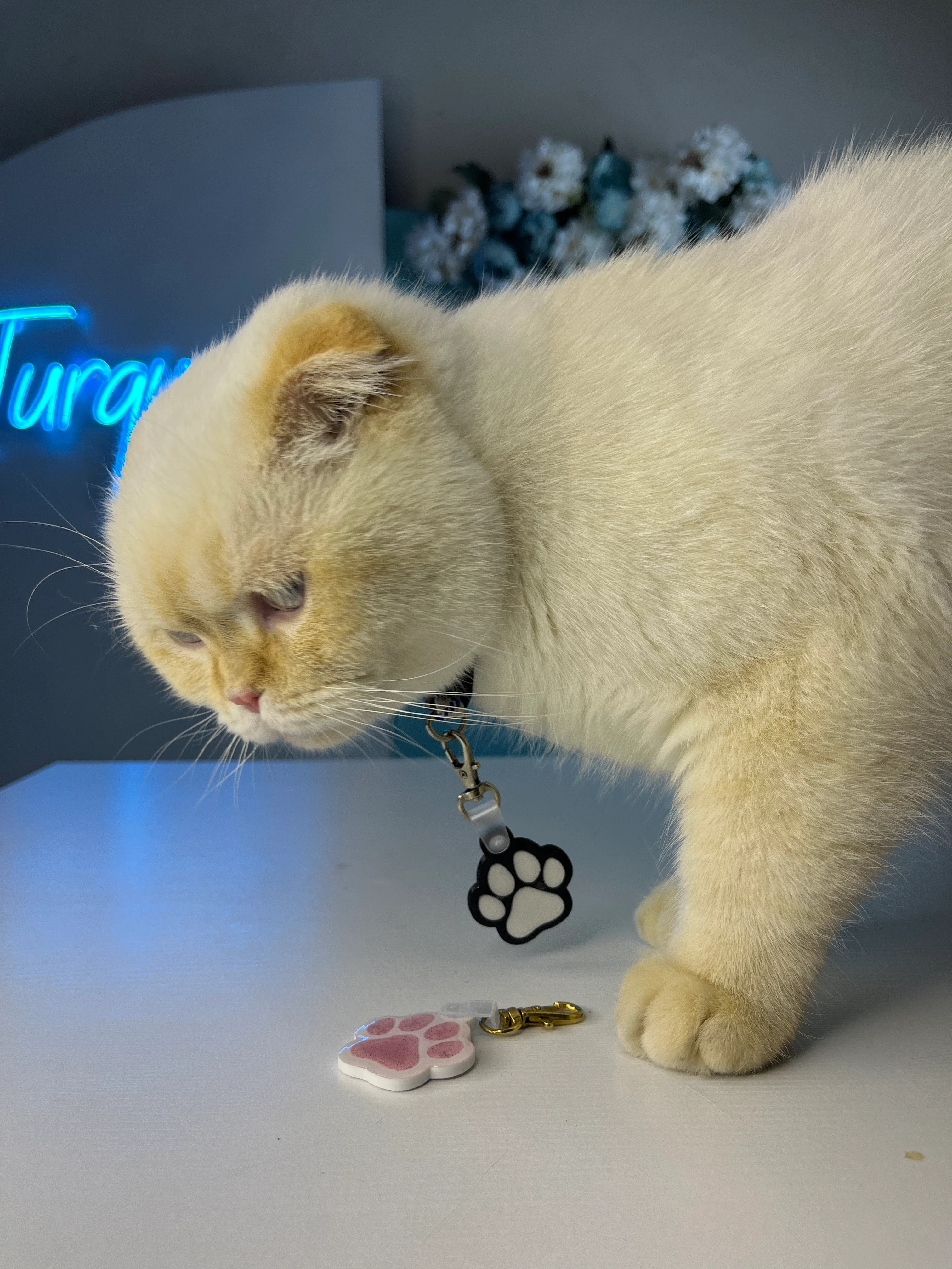 Akıllı Pati Anahtarlık