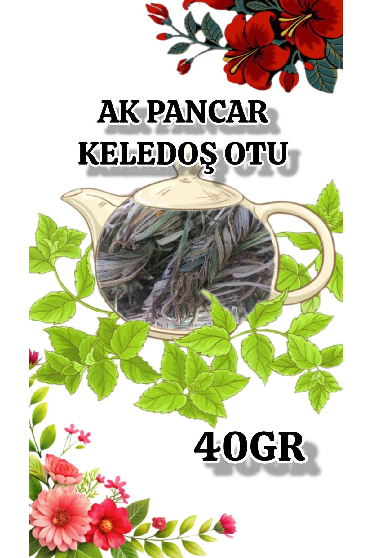 AK PANCAR KELEDOŞ OTU