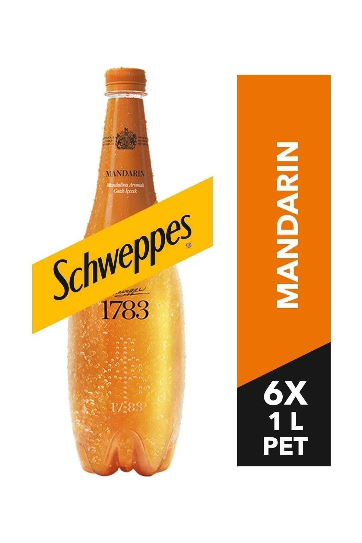 Mandalina Aromalı Gazlı Içecek Pet Şişe 1 Lt 6 Adet