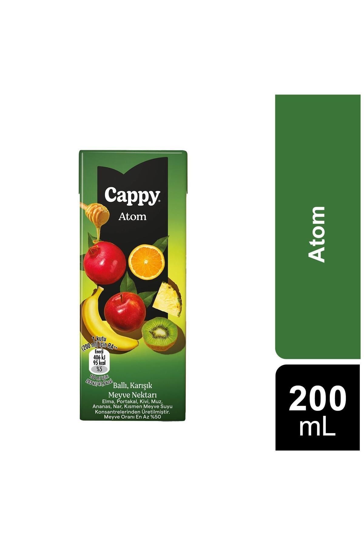 Atom Ballı Karışık Meyve Nektarı 200 Ml X 24 Adet