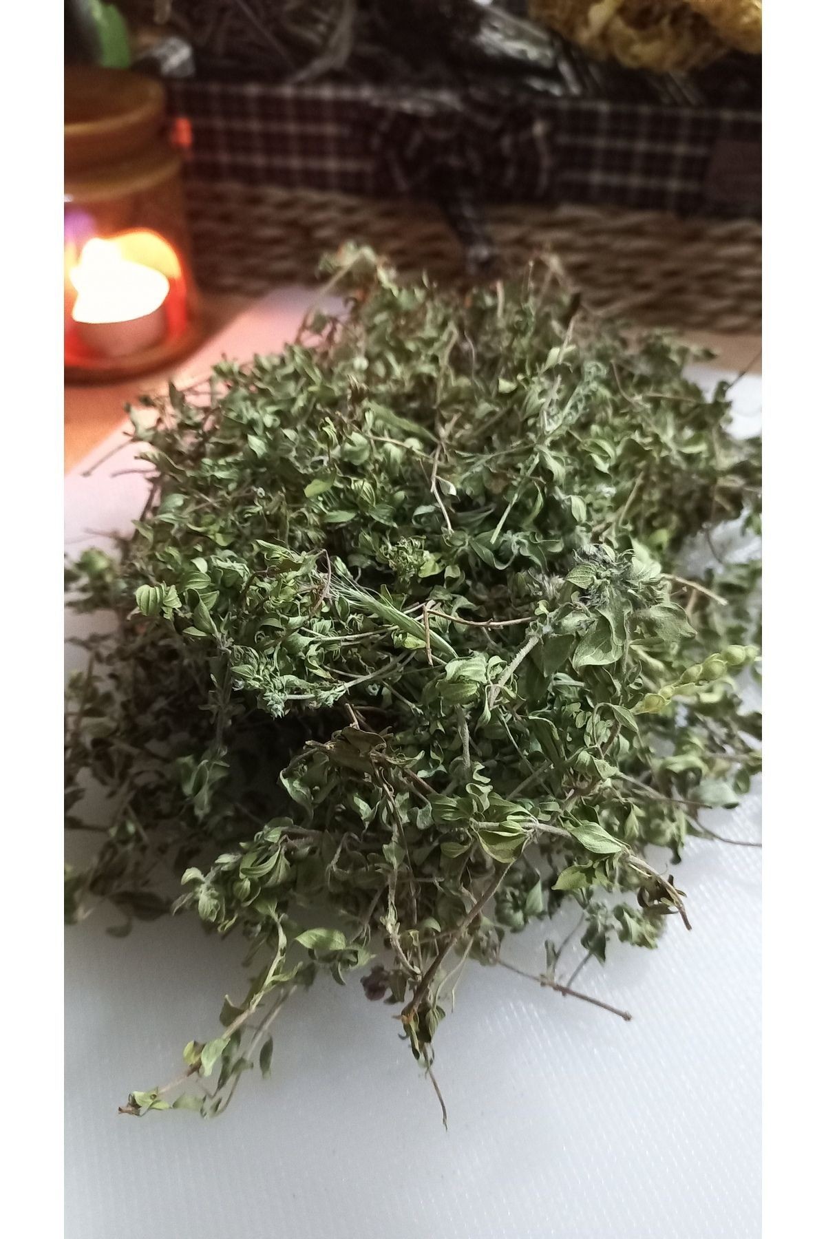 DAĞ KEKİĞİ (CANTER, VAN KEKİĞİ)