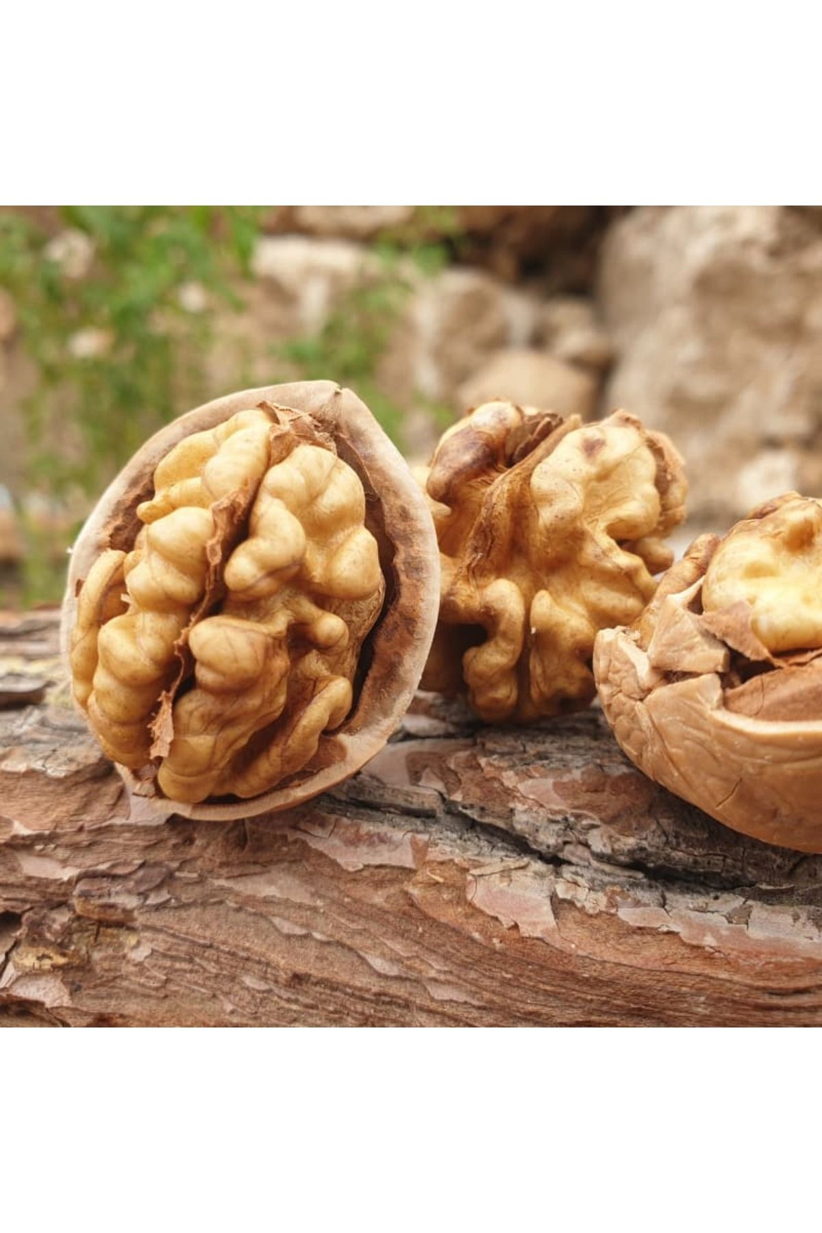 DOĞAL KABUKLU CEVİZ 1 KG