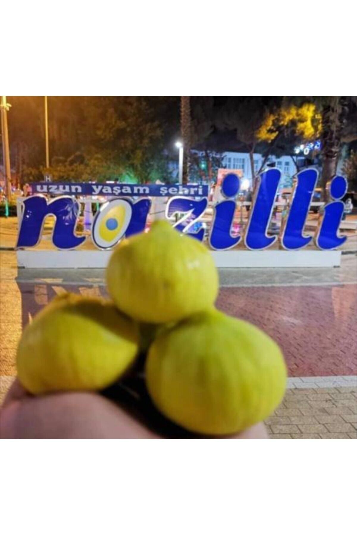 Aydın Doğal Kuru Dağ Inciri 2 Kg